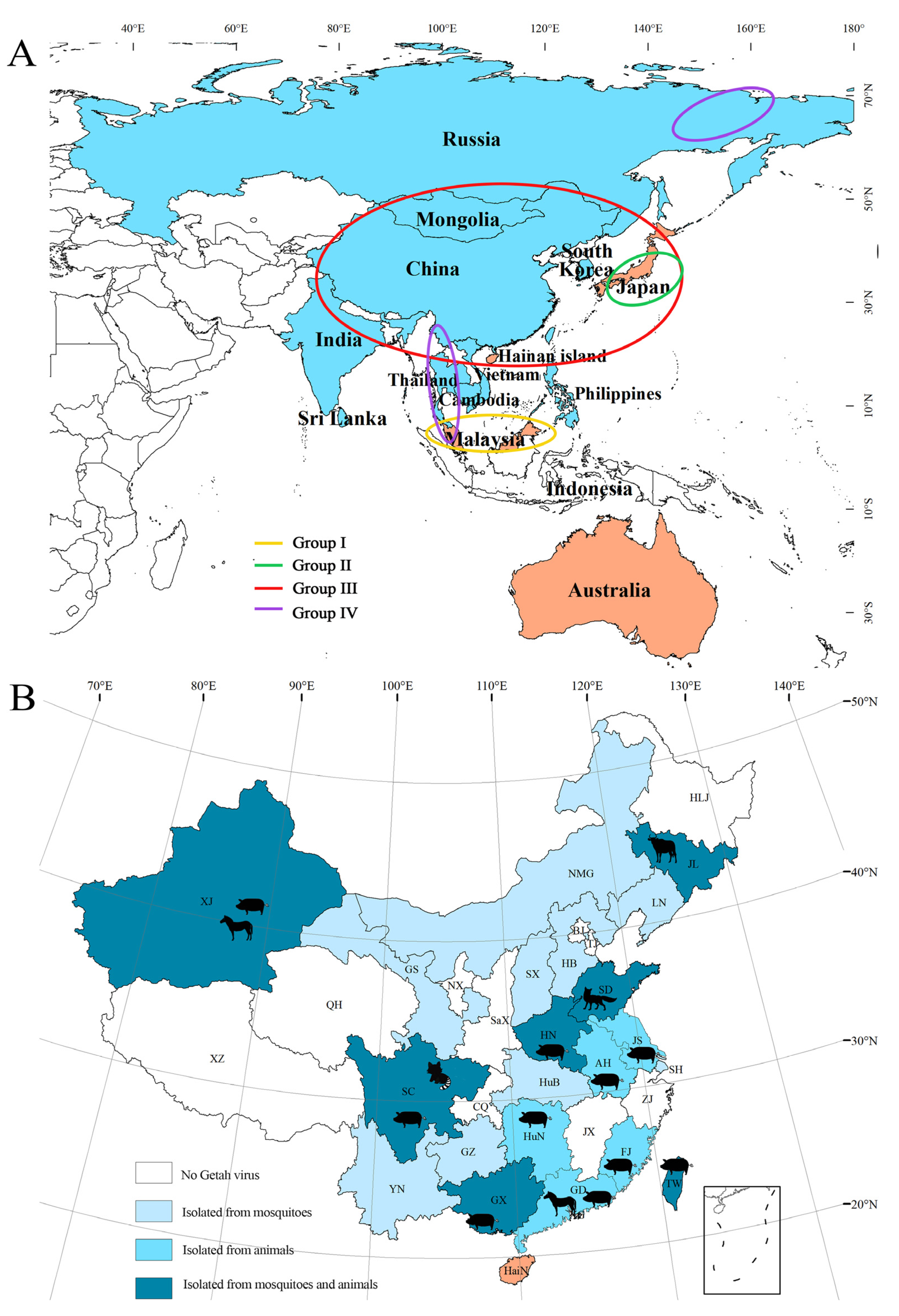 Pathogens | Free Full-Text | Getah Virus (Alphavirus): An Emerging