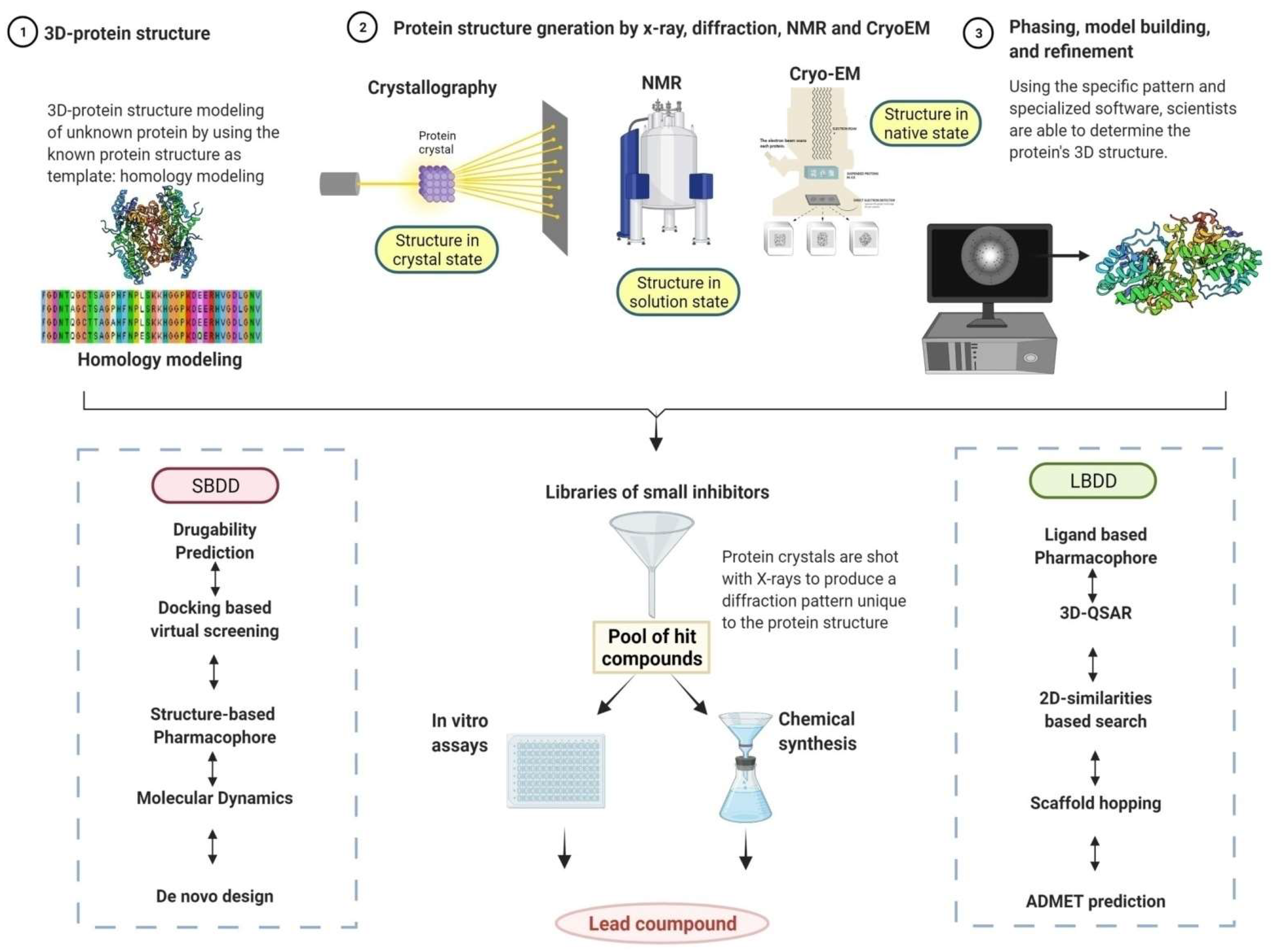 Pathogens 11 00950 g003 Pathogens 11 00950 g003