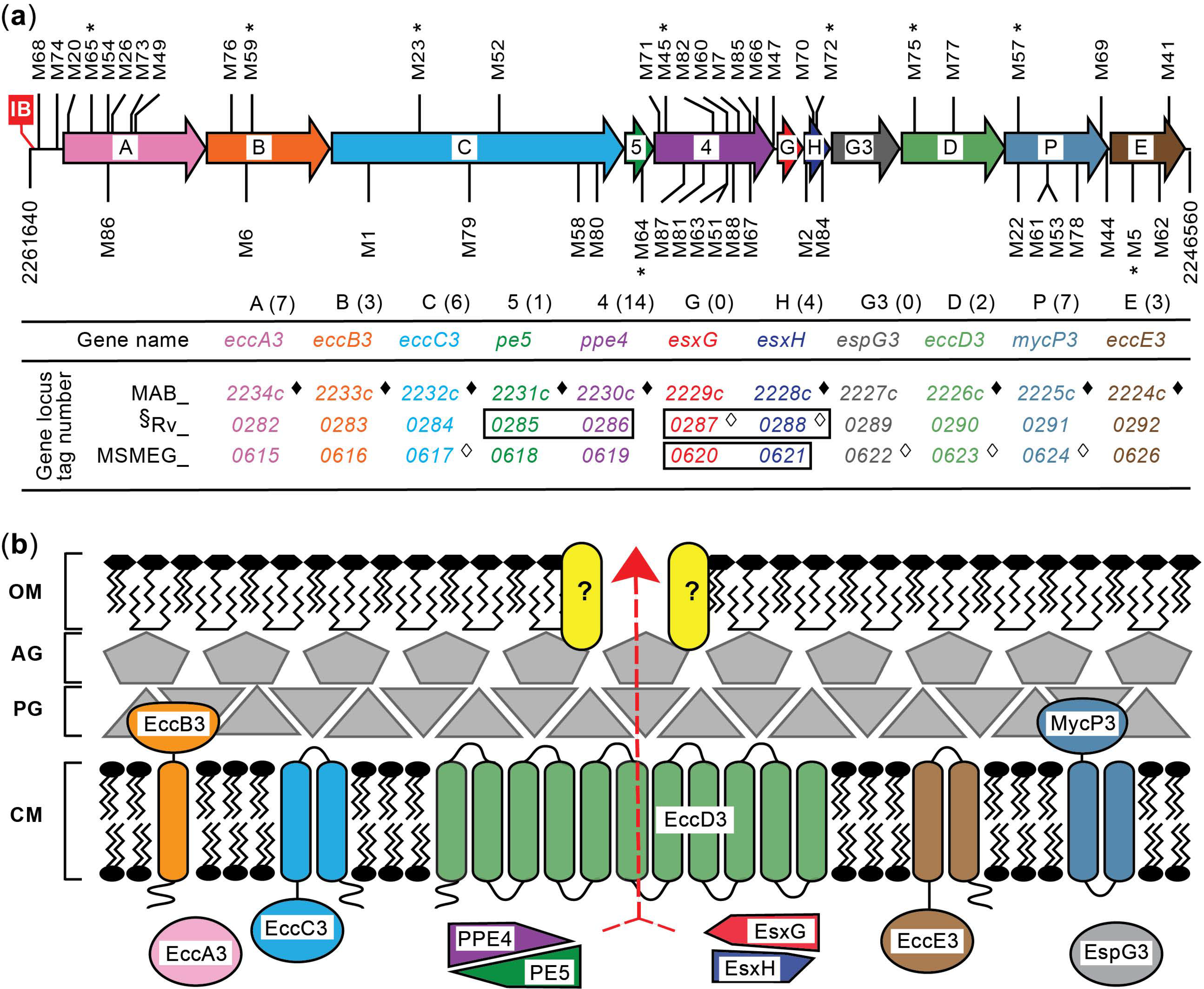 Pathogens 11 00953 g003