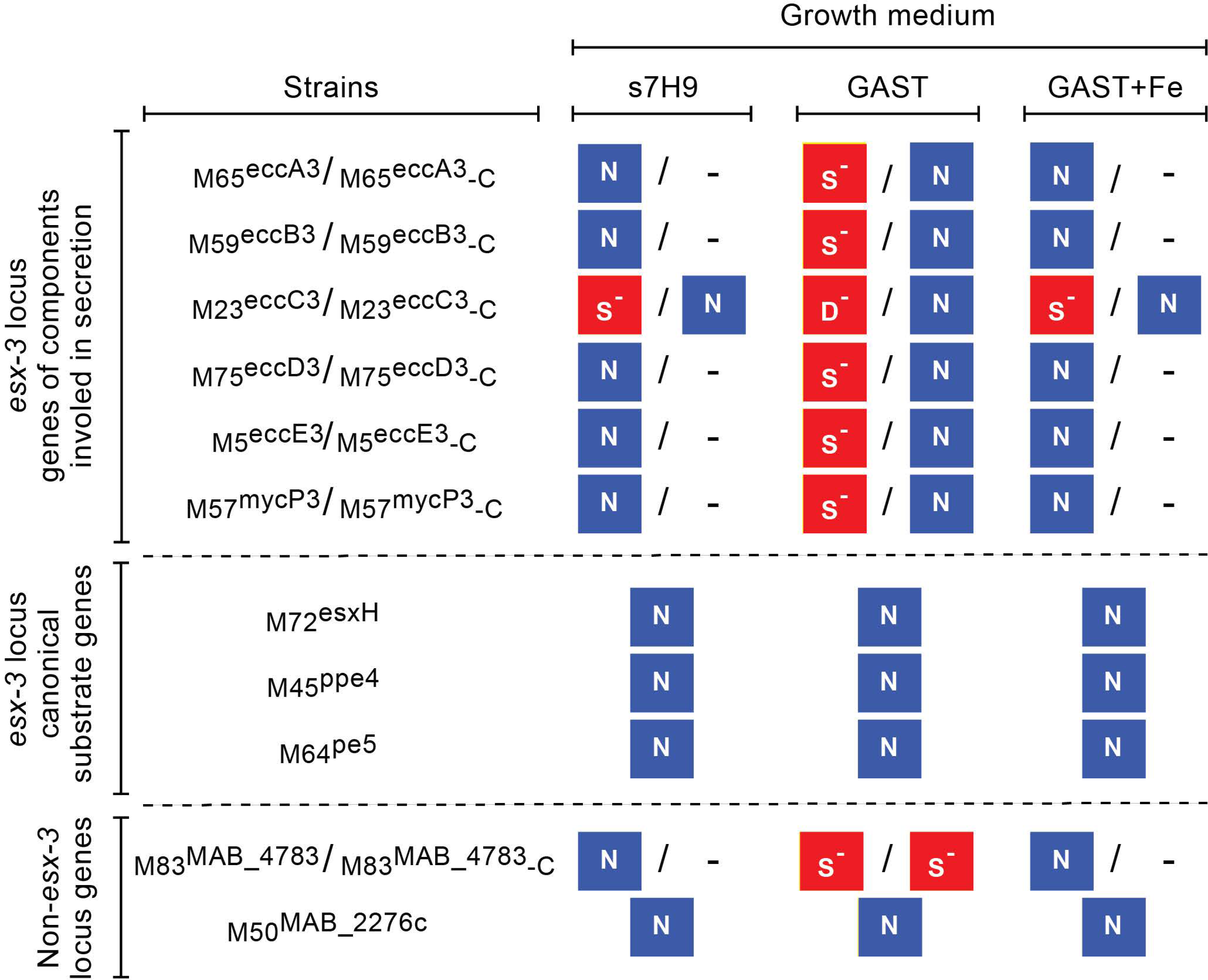 Pathogens 11 00953 g008