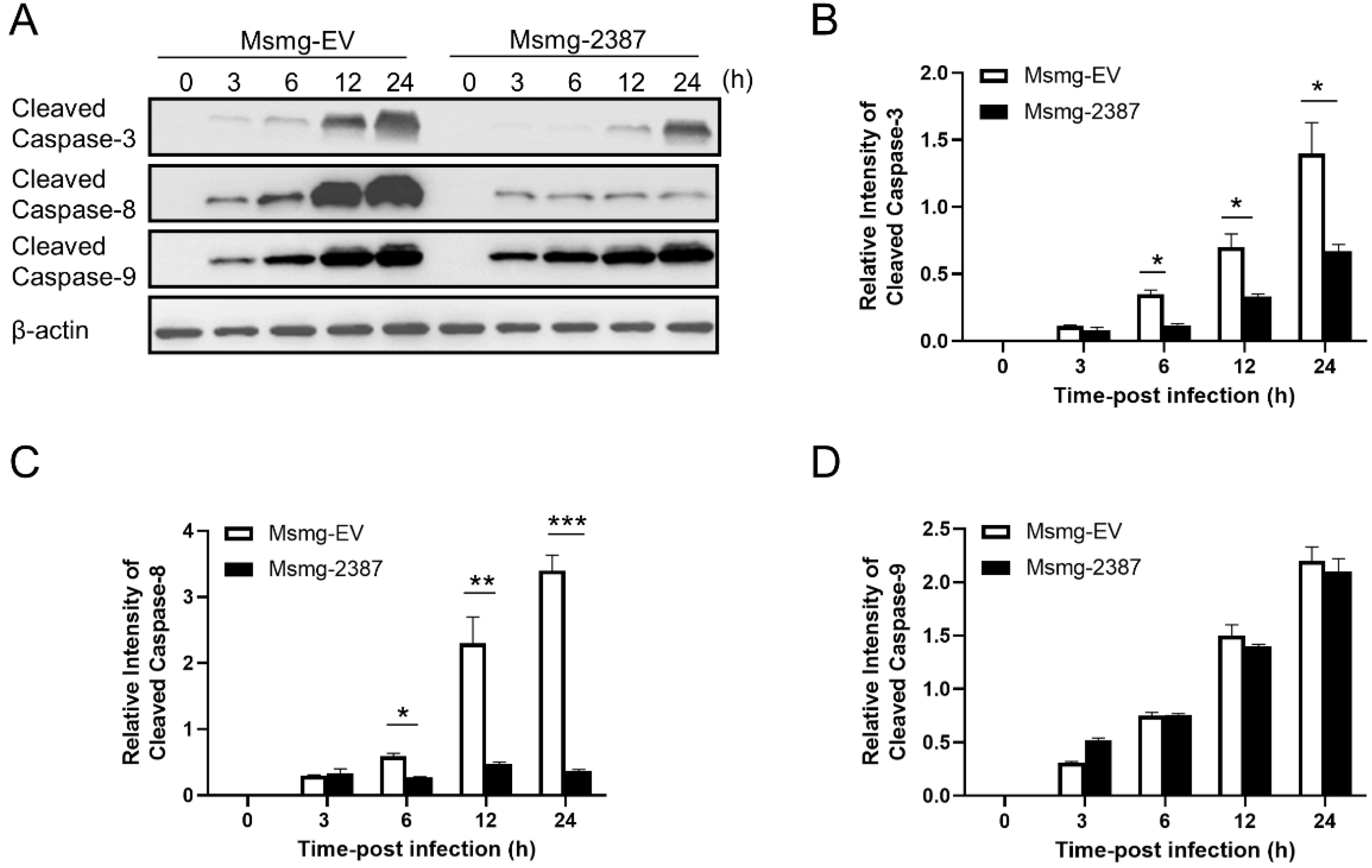 Pathogens 11 00981 g004