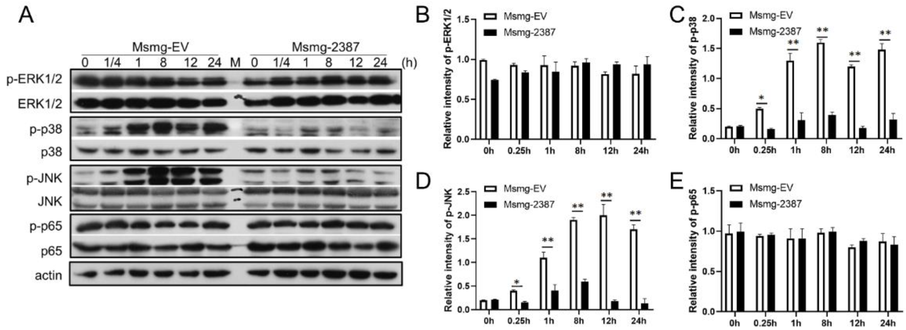 Pathogens 11 00981 g005