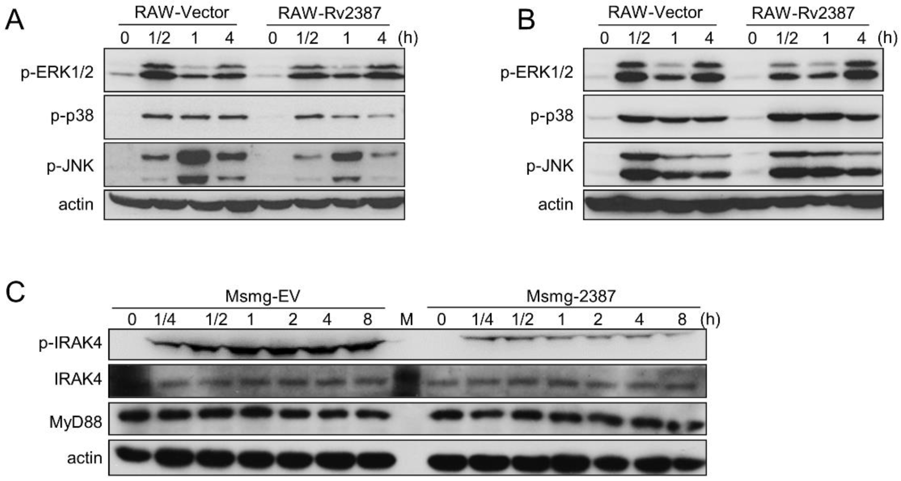 Pathogens 11 00981 g006
