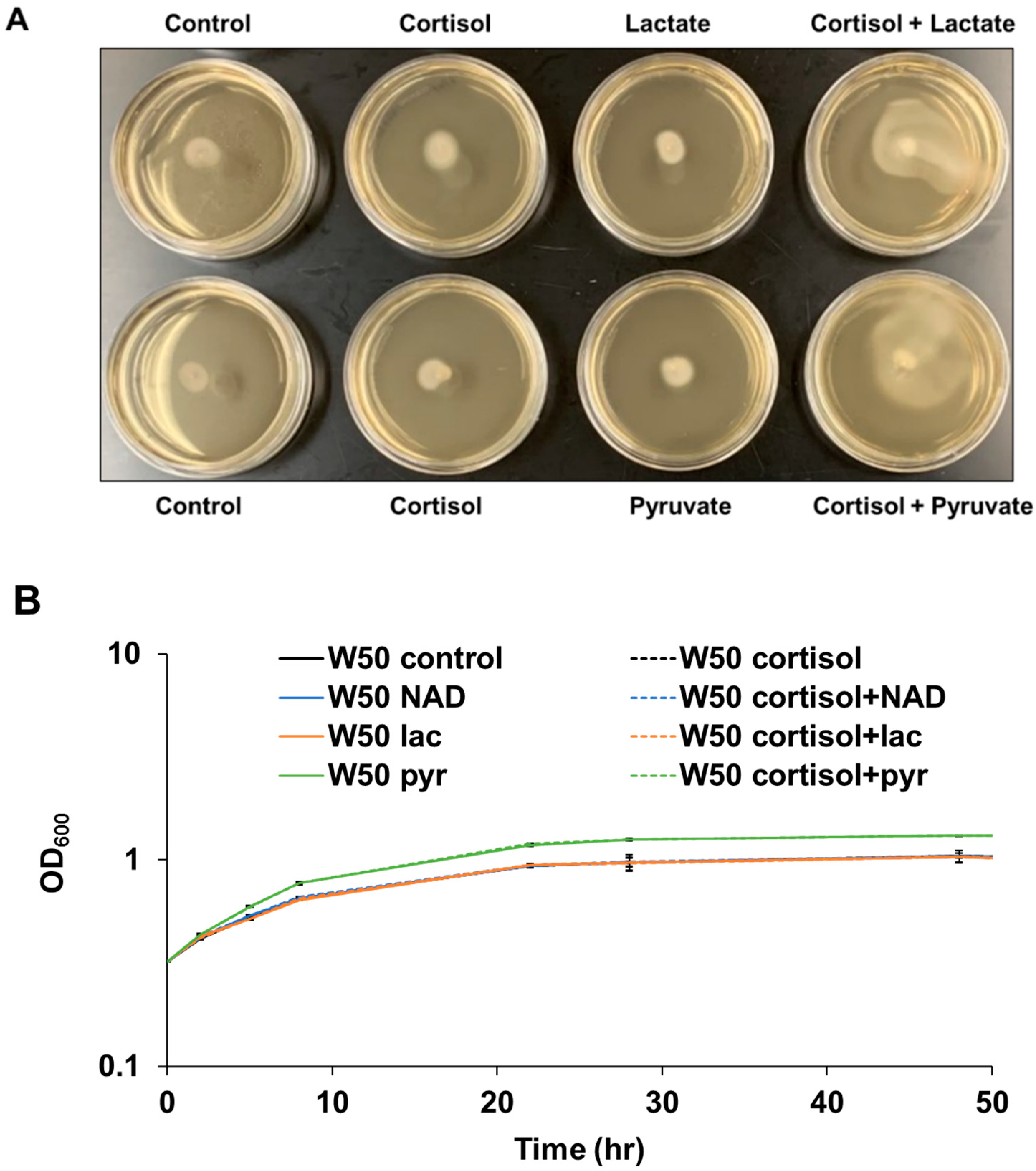 Pathogens 11 00982 g002