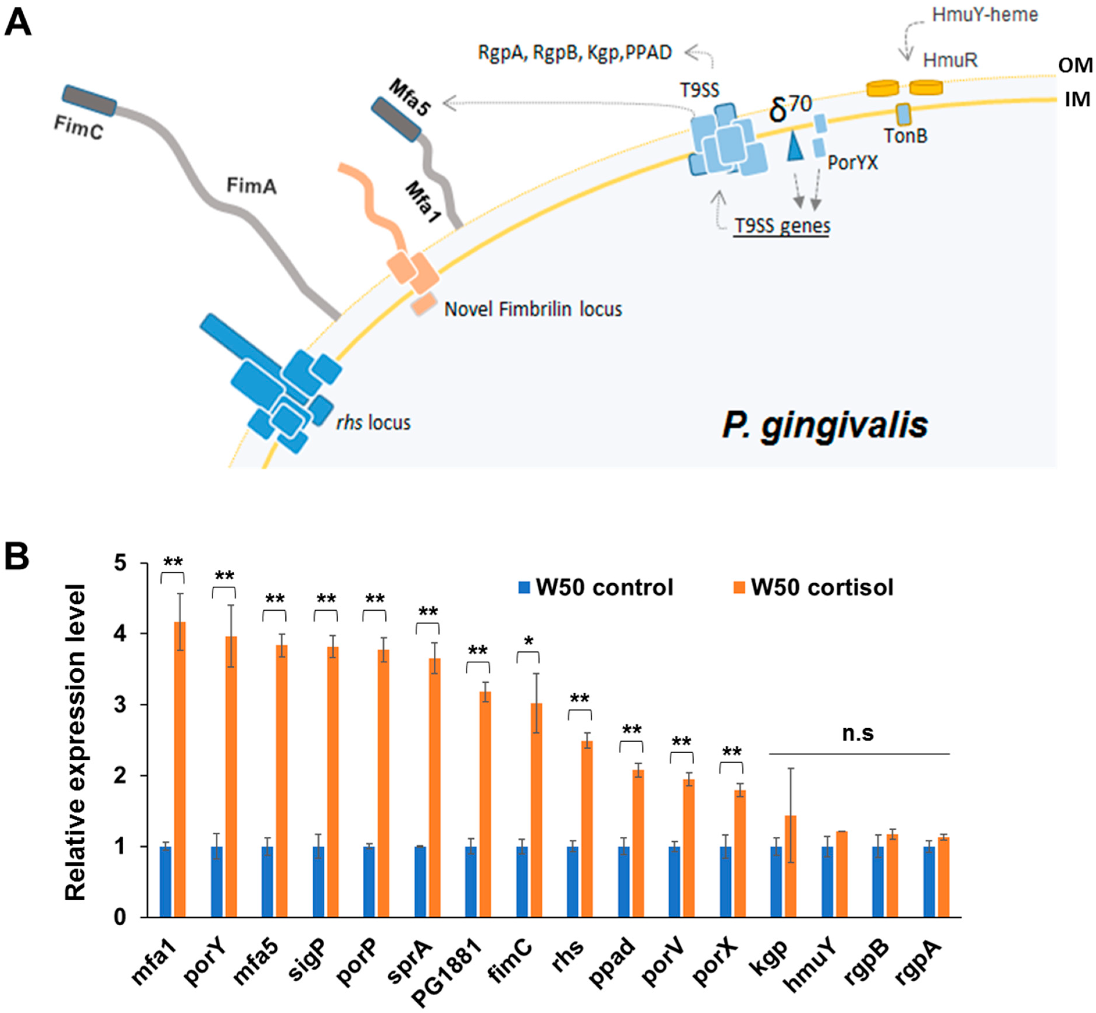 Pathogens 11 00982 g003