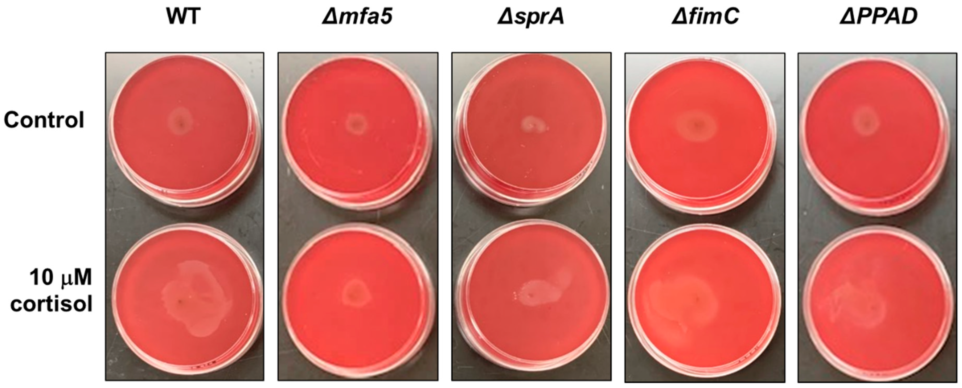 Pathogens 11 00982 g004