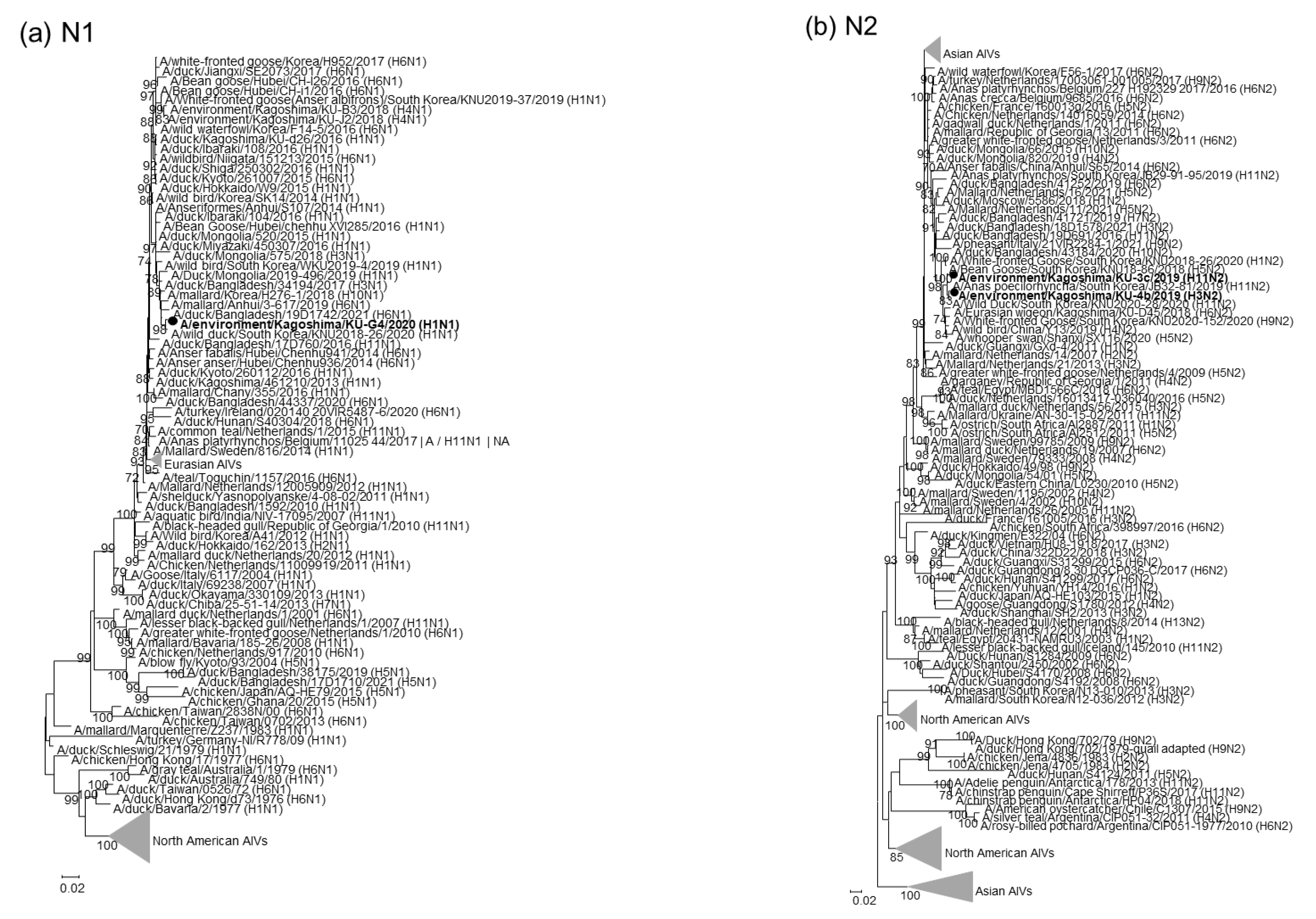 Pathogens 11 01013 g002a