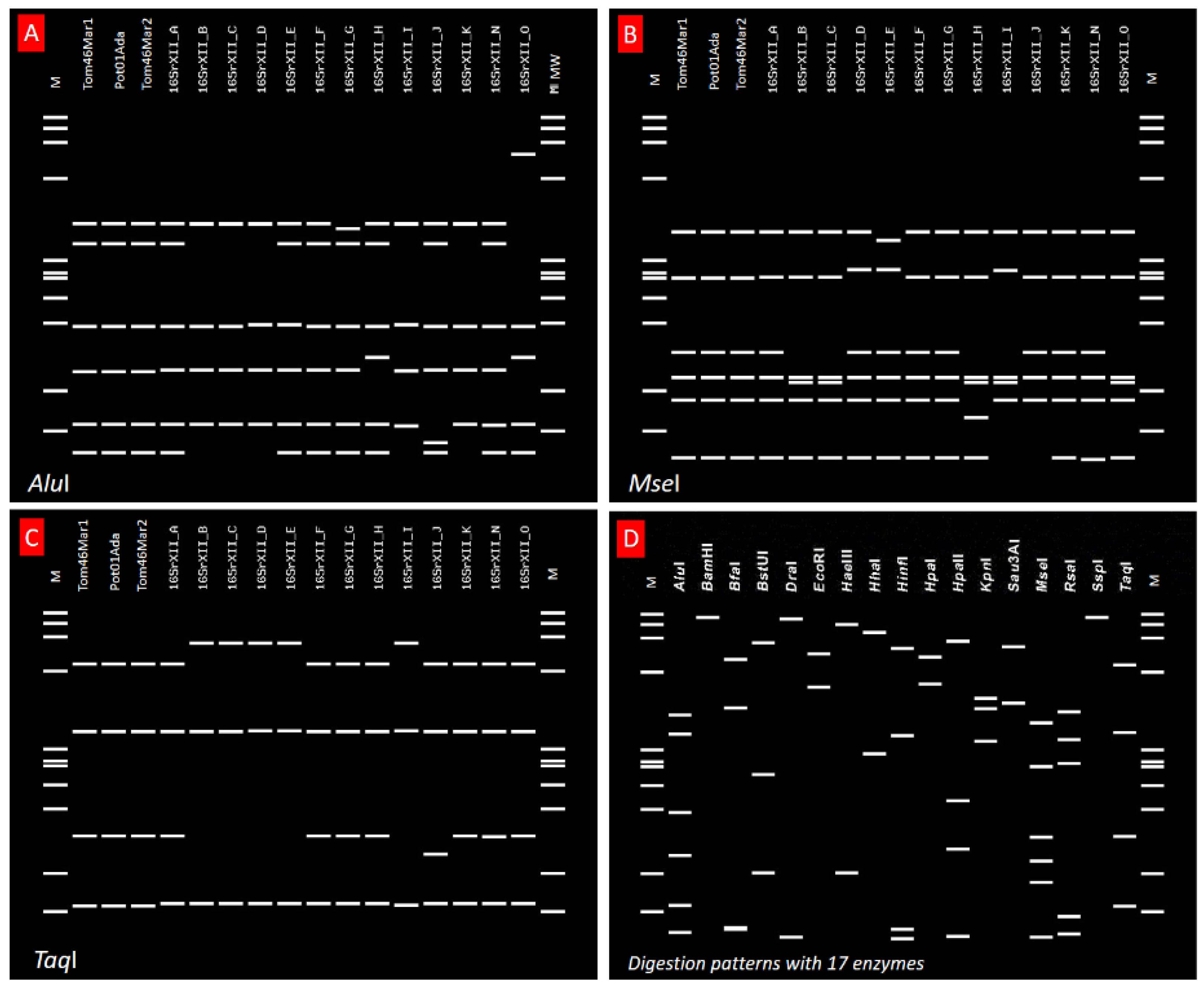 Pathogens 11 01031 g003