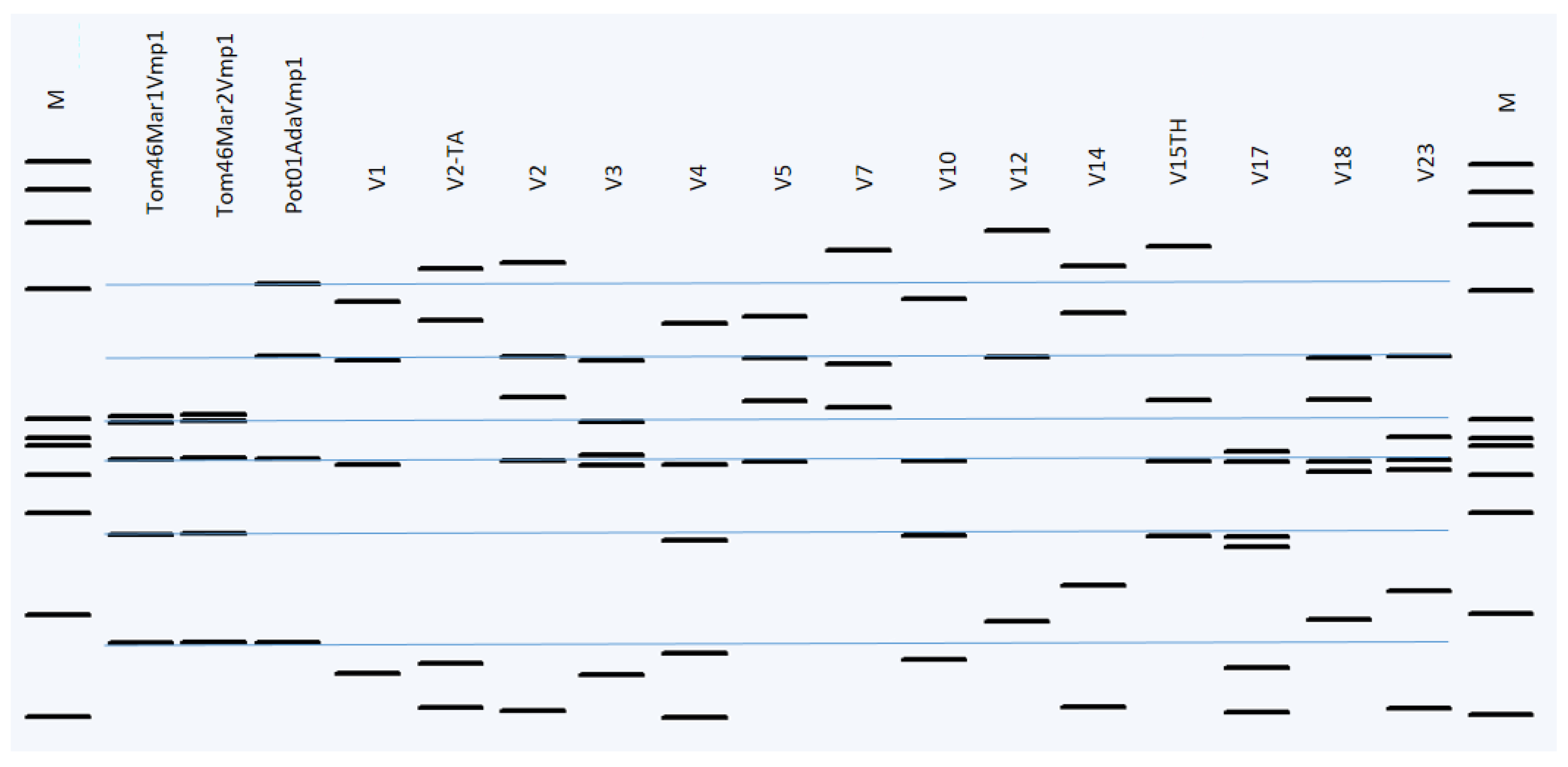 Pathogens 11 01031 g007