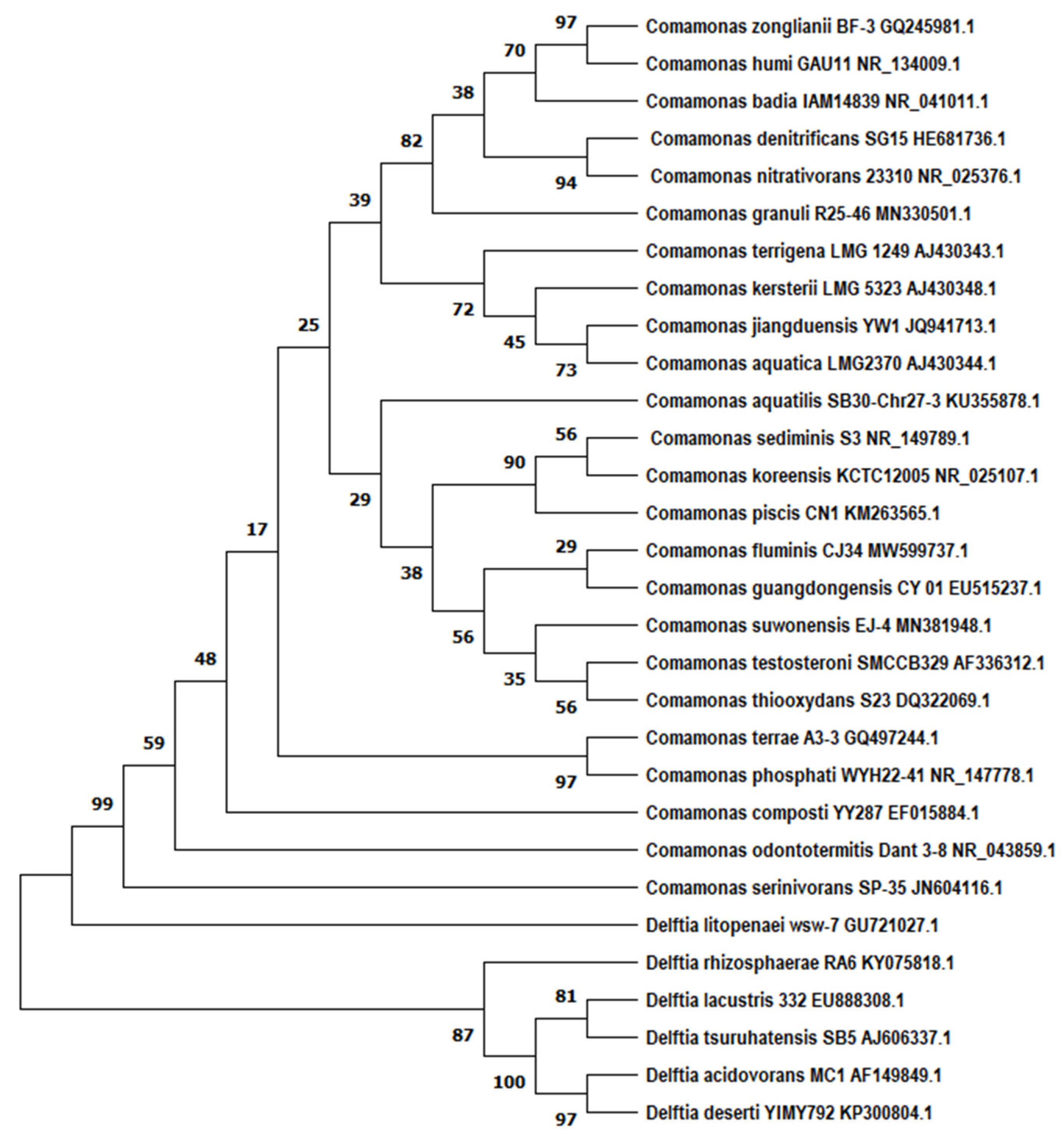 Pathogens 11 01032 g001 Pathogens 11 01032 g001