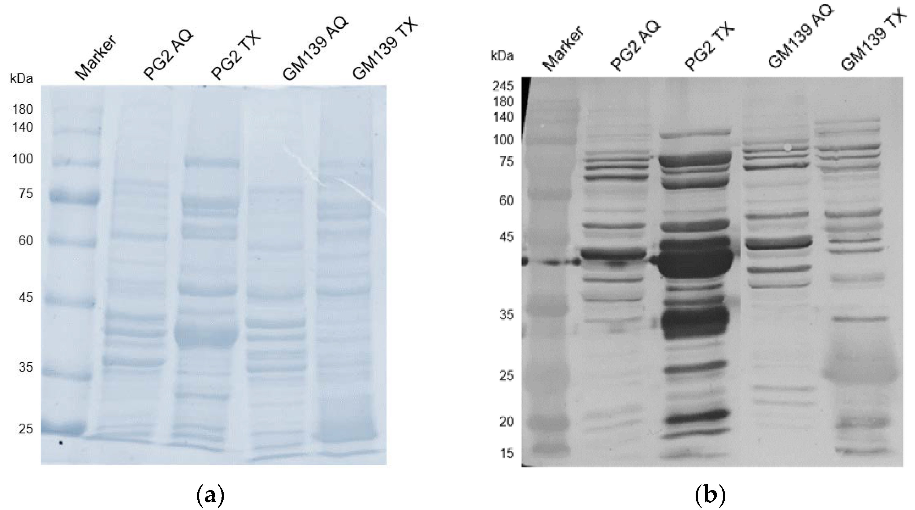 Pathogens 11 01036 g004
