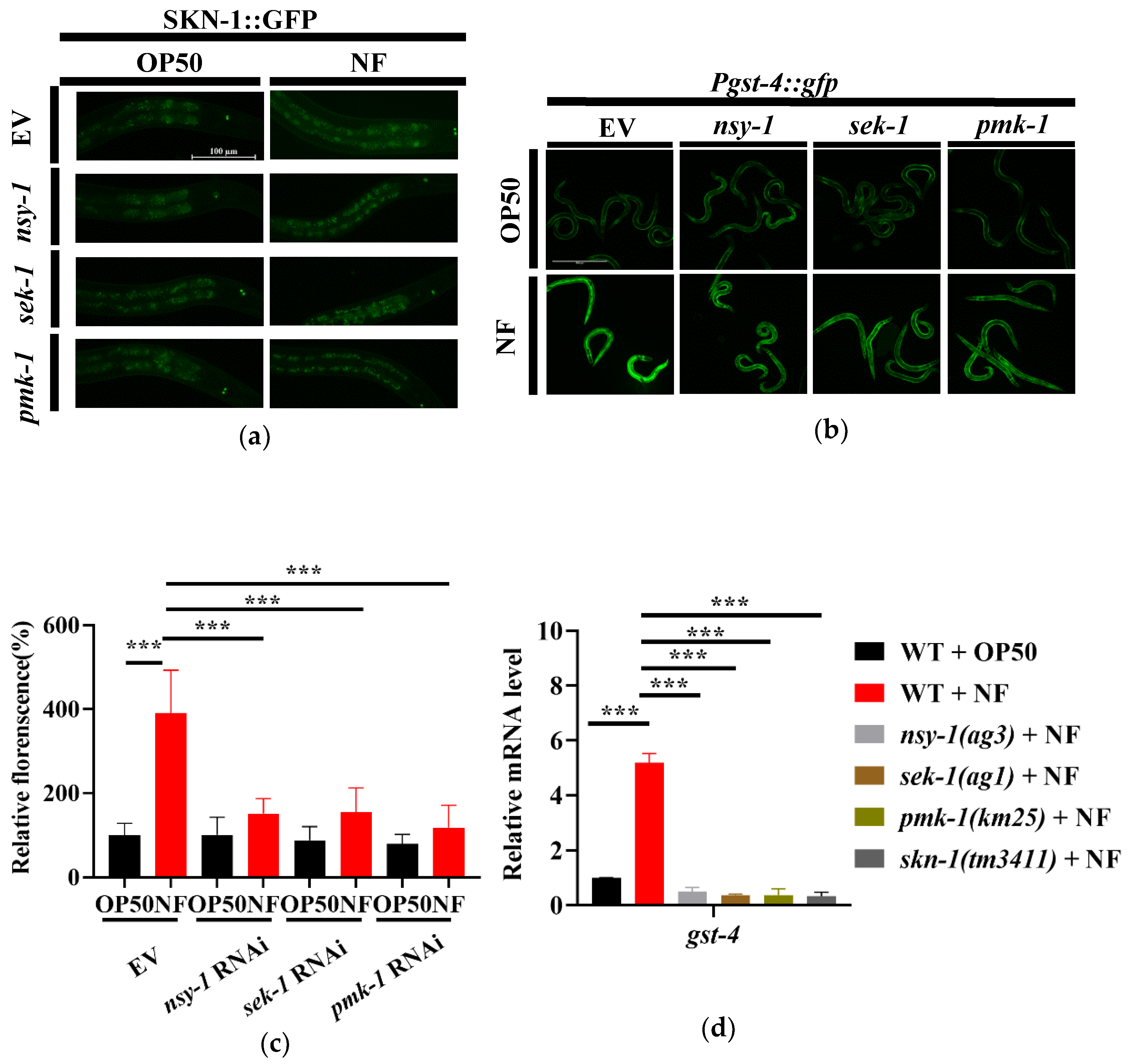 Pathogens 11 01071 g004 Pathogens 11 01071 g004