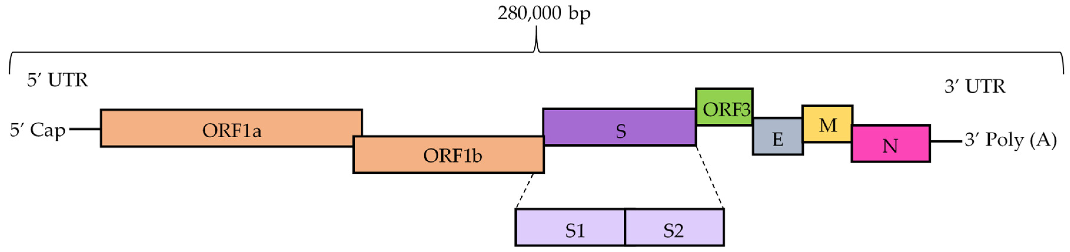 Pathogens 11 01074 g001 Pathogens 11 01074 g001
