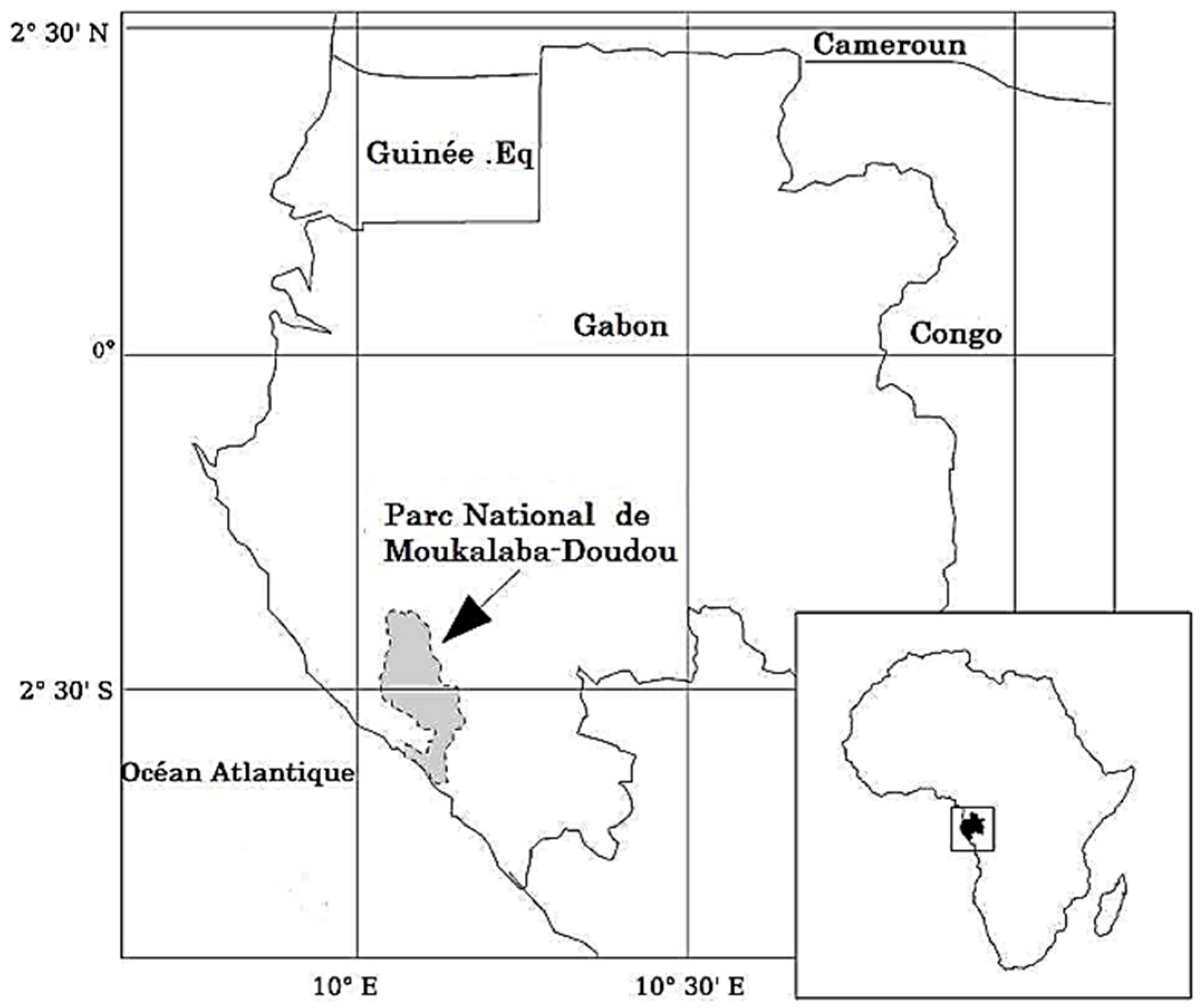 Pathogens | Free Full-Text | Phylogenetic Groups, Pathotypes and  Antimicrobial Resistance of Escherichia coli Isolated from Western Lowland  Gorilla Faeces (Gorilla gorilla gorilla) of Moukalaba-Doudou National Park  (MDNP)