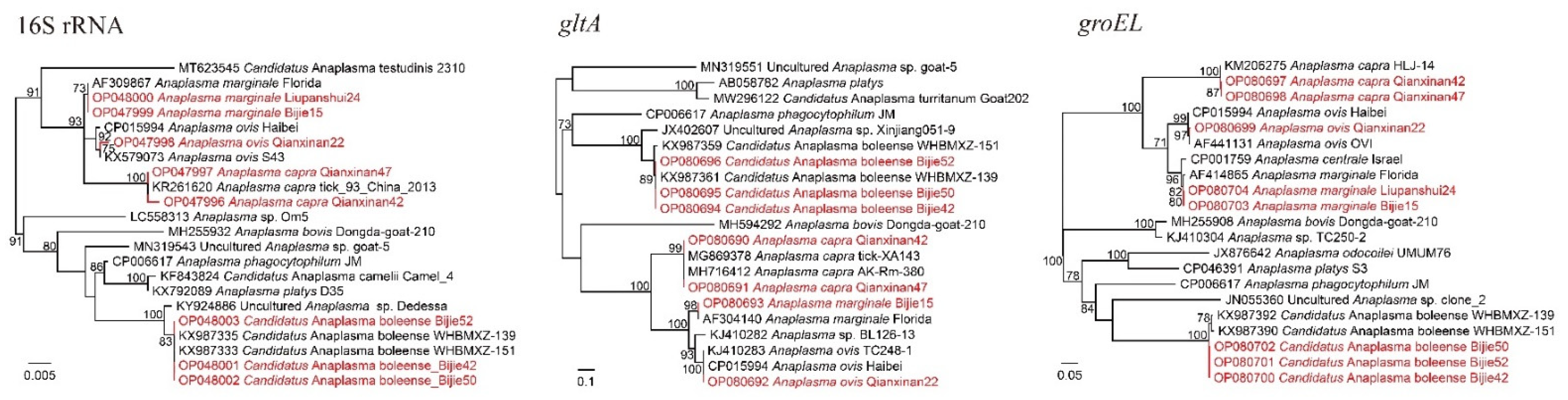 Pathogens 11 01108 g004 Pathogens 11 01108 g004
