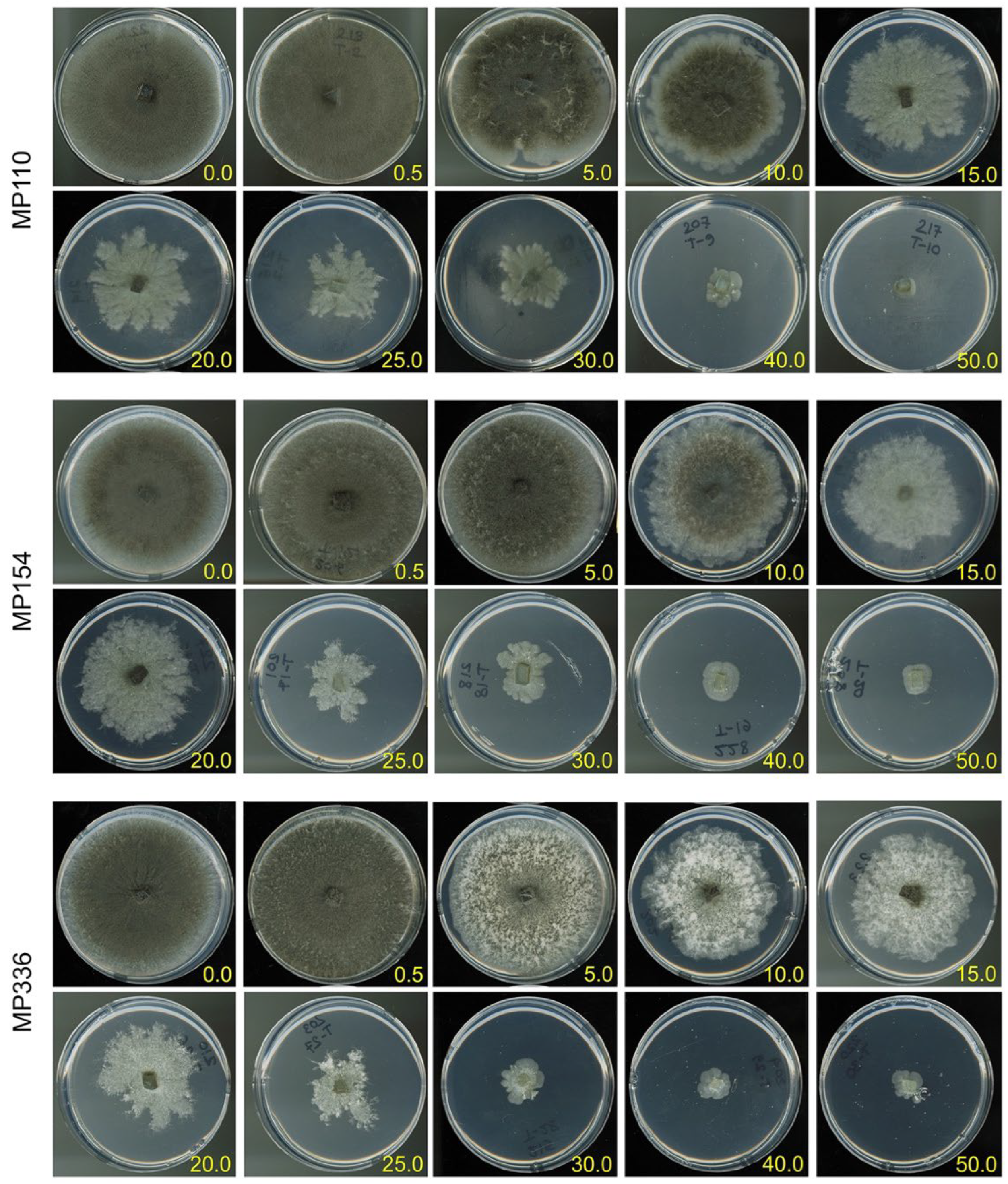 Pathogens 11 01117 g004