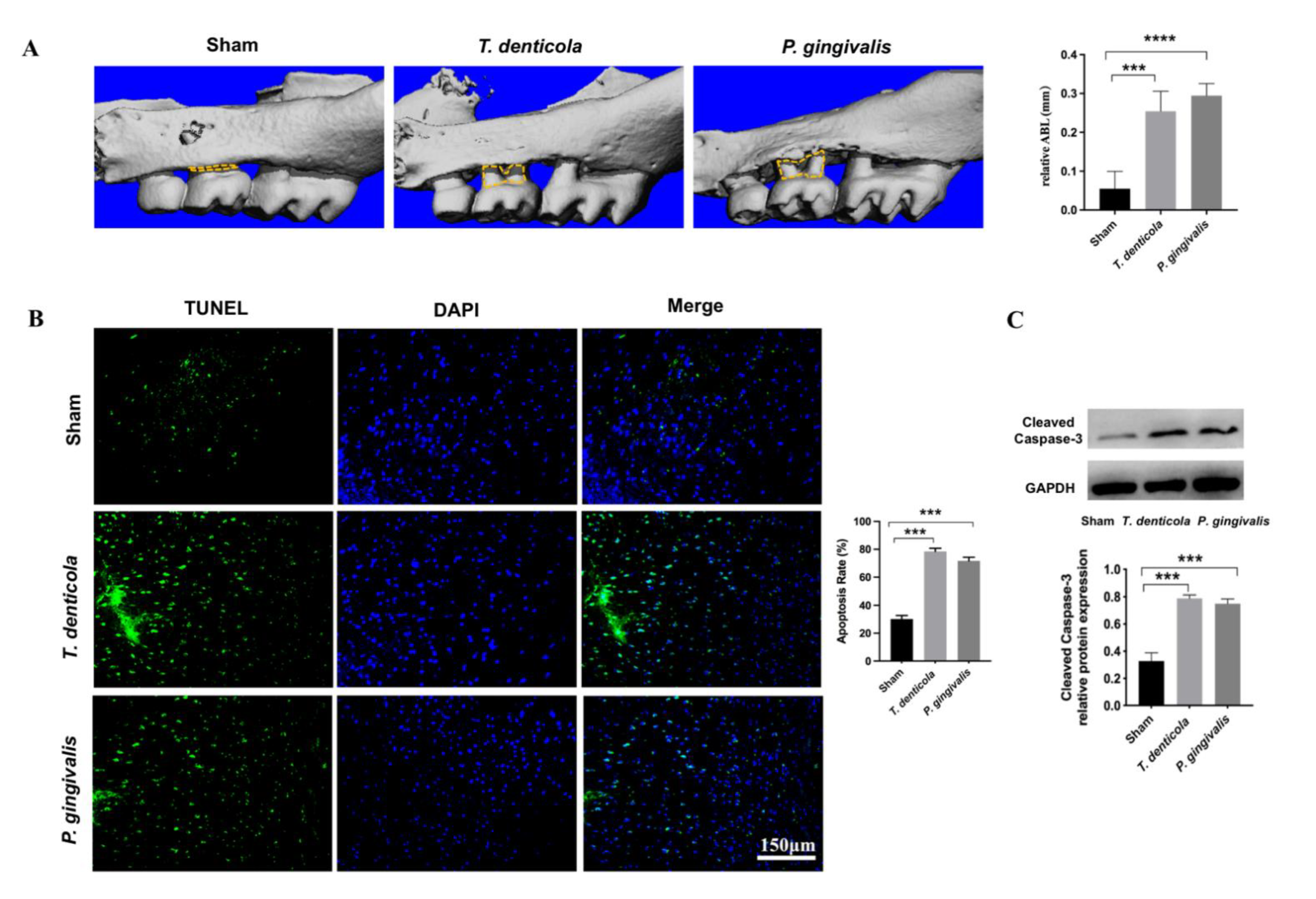 Pathogens 11 01150 g001