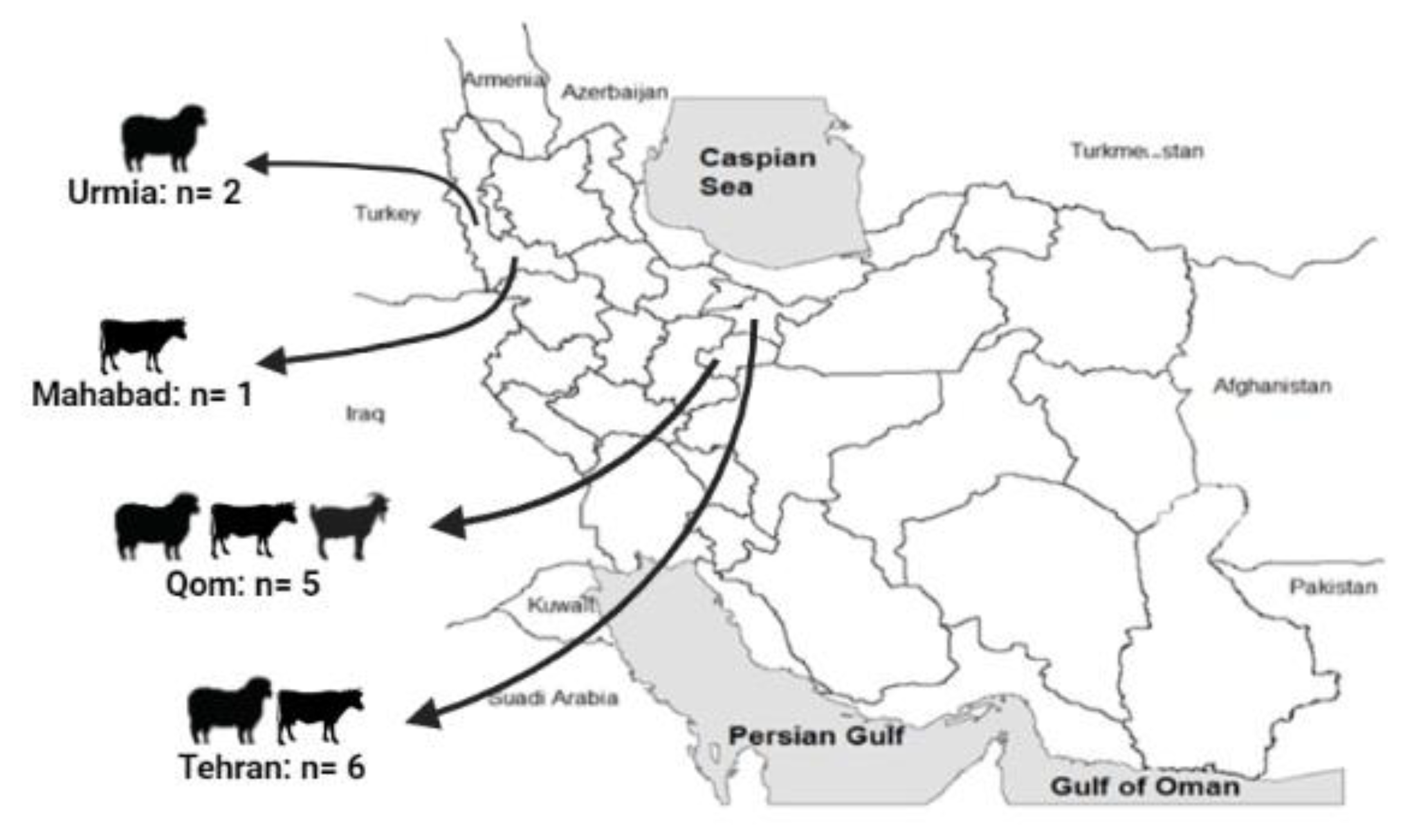 Pathogens 11 01175 g001 Pathogens 11 01175 g001