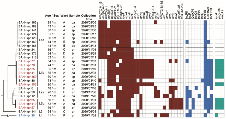 Pathogens 11 01202 g001 Pathogens 11 01202 g001