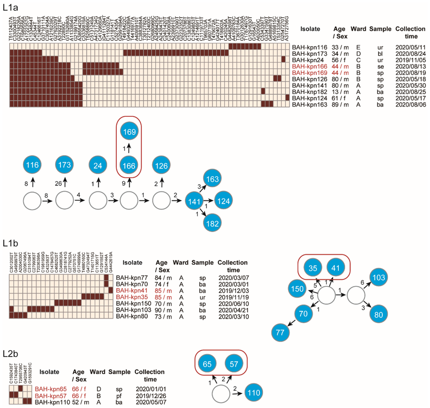 Pathogens 11 01202 g002 Pathogens 11 01202 g002