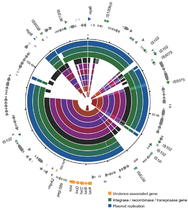Pathogens 11 01202 g003 Pathogens 11 01202 g003