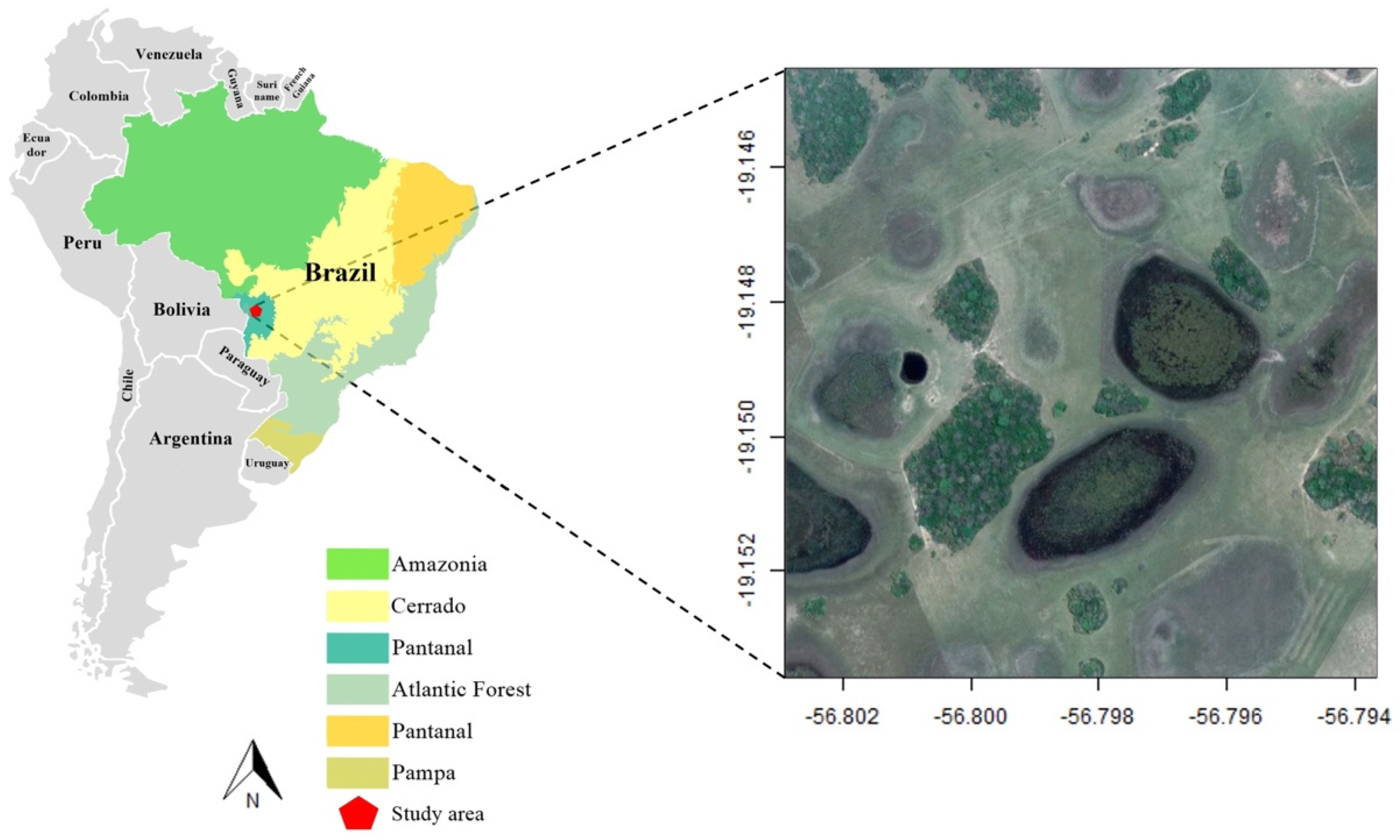 Pathogens 11 01205 g001 Pathogens 11 01205 g001