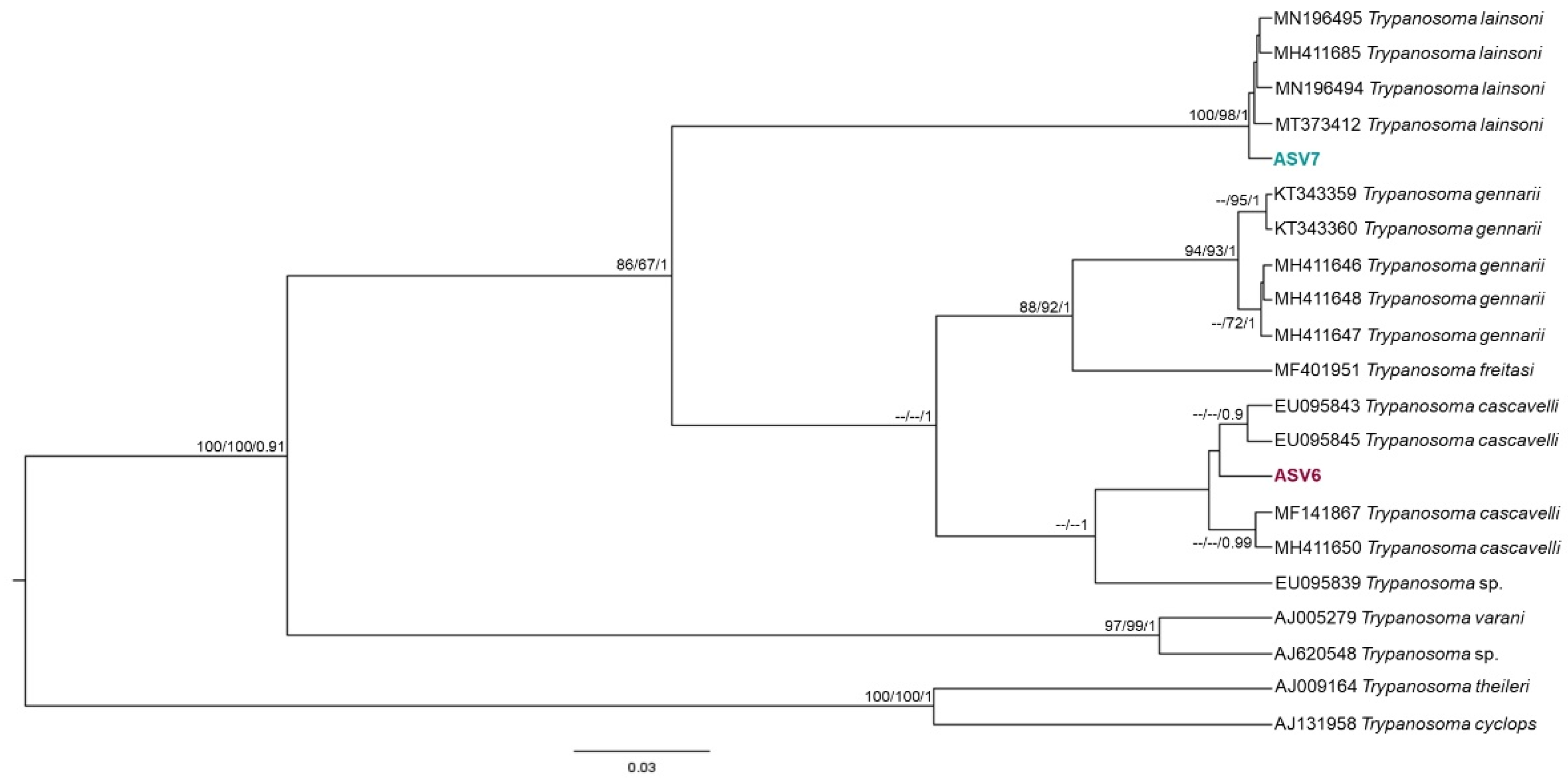 Pathogens 11 01205 g003 Pathogens 11 01205 g003