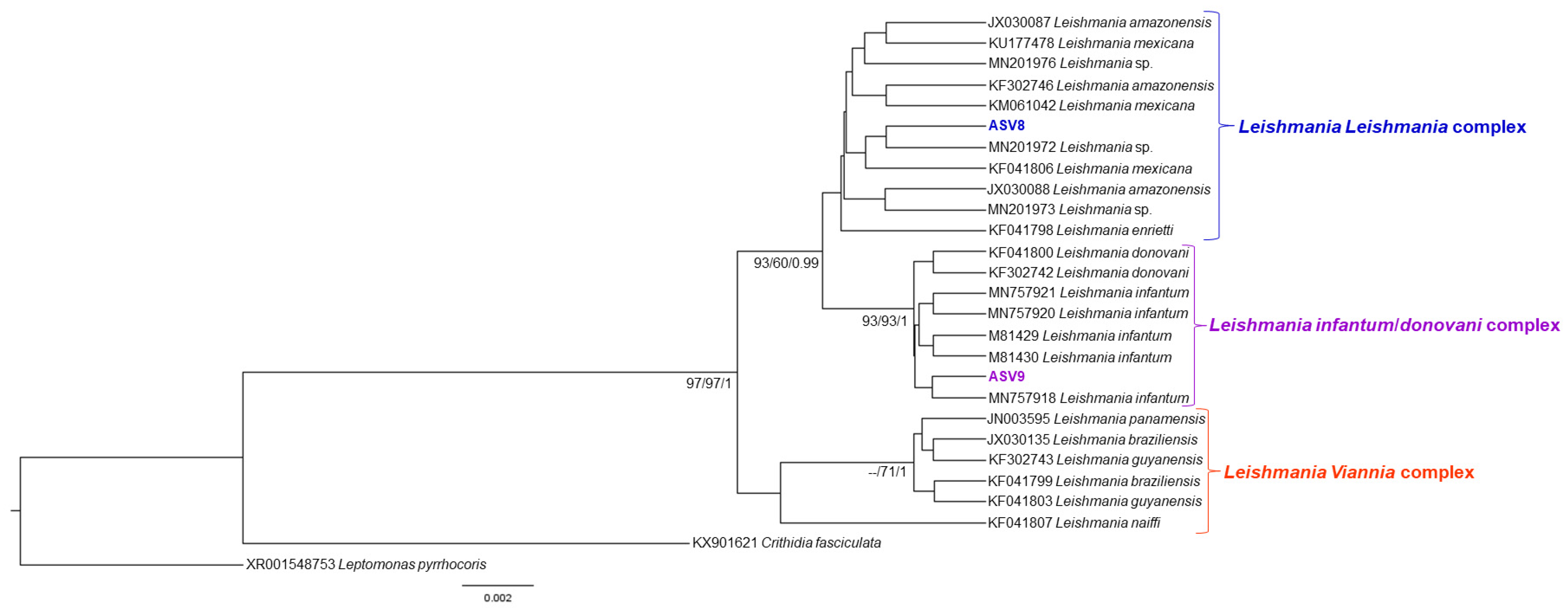 Pathogens 11 01205 g004 Pathogens 11 01205 g004