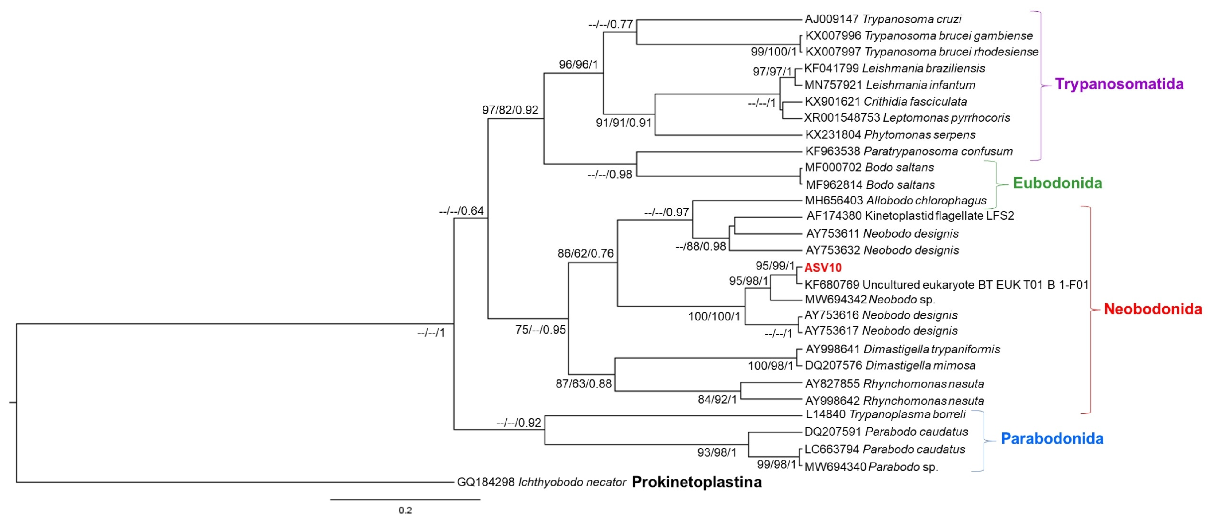 Pathogens 11 01205 g005 Pathogens 11 01205 g005