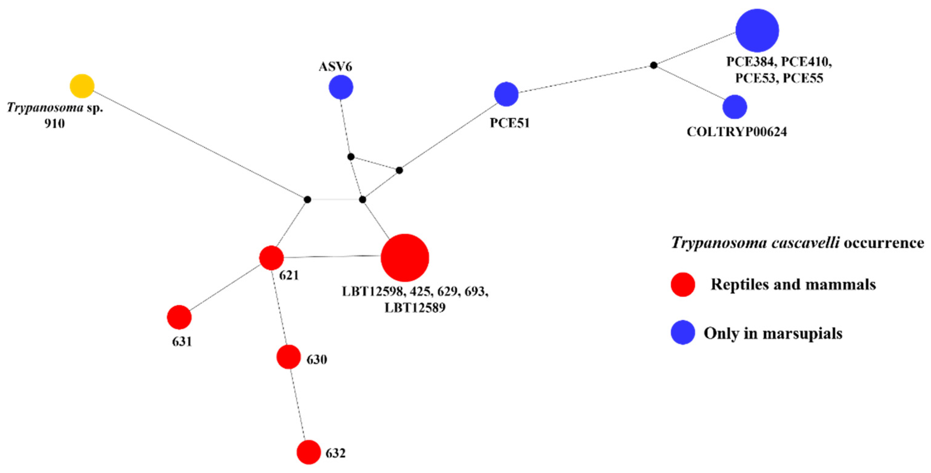 Pathogens 11 01205 g006 Pathogens 11 01205 g006