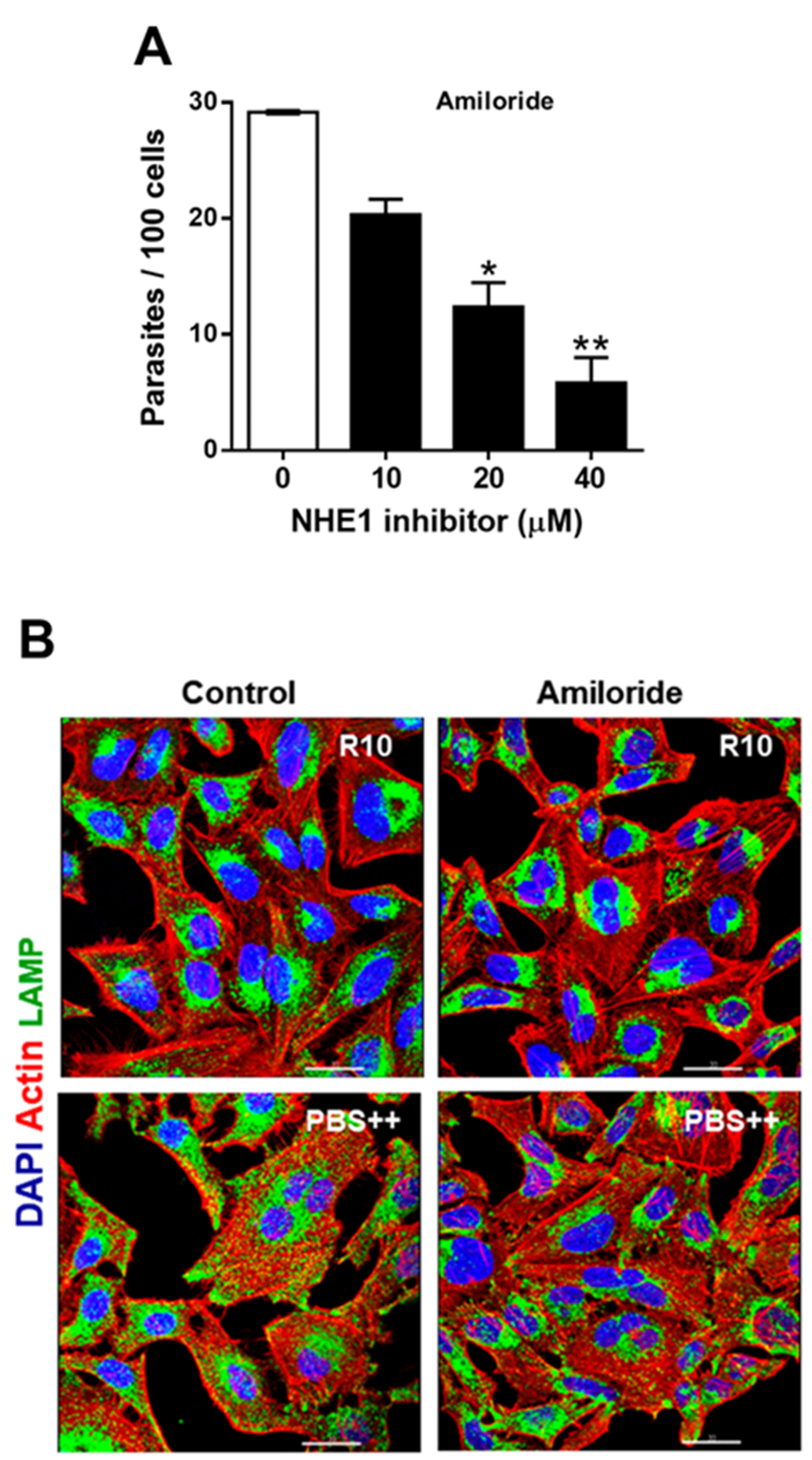 Pathogens 11 01294 g002