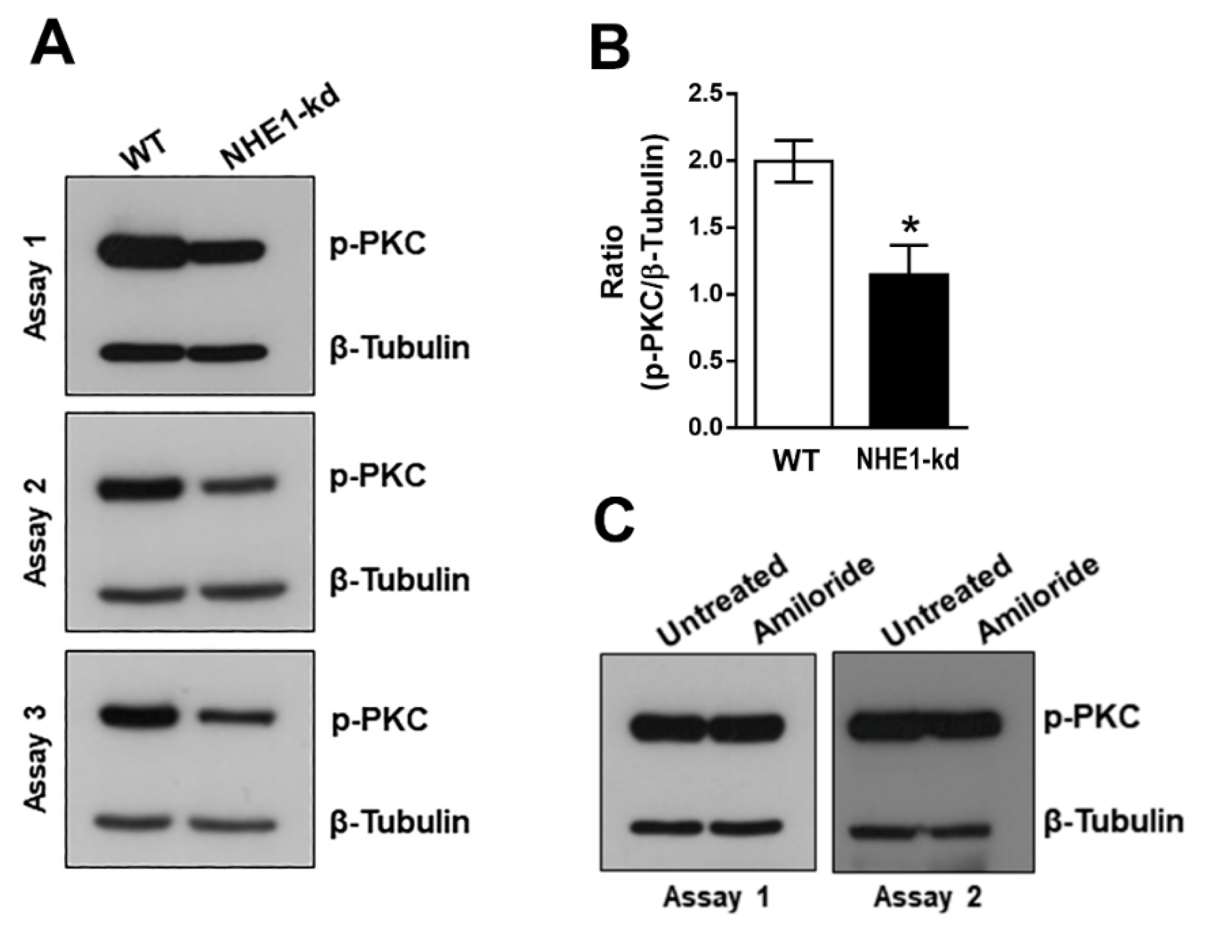 Pathogens 11 01294 g005