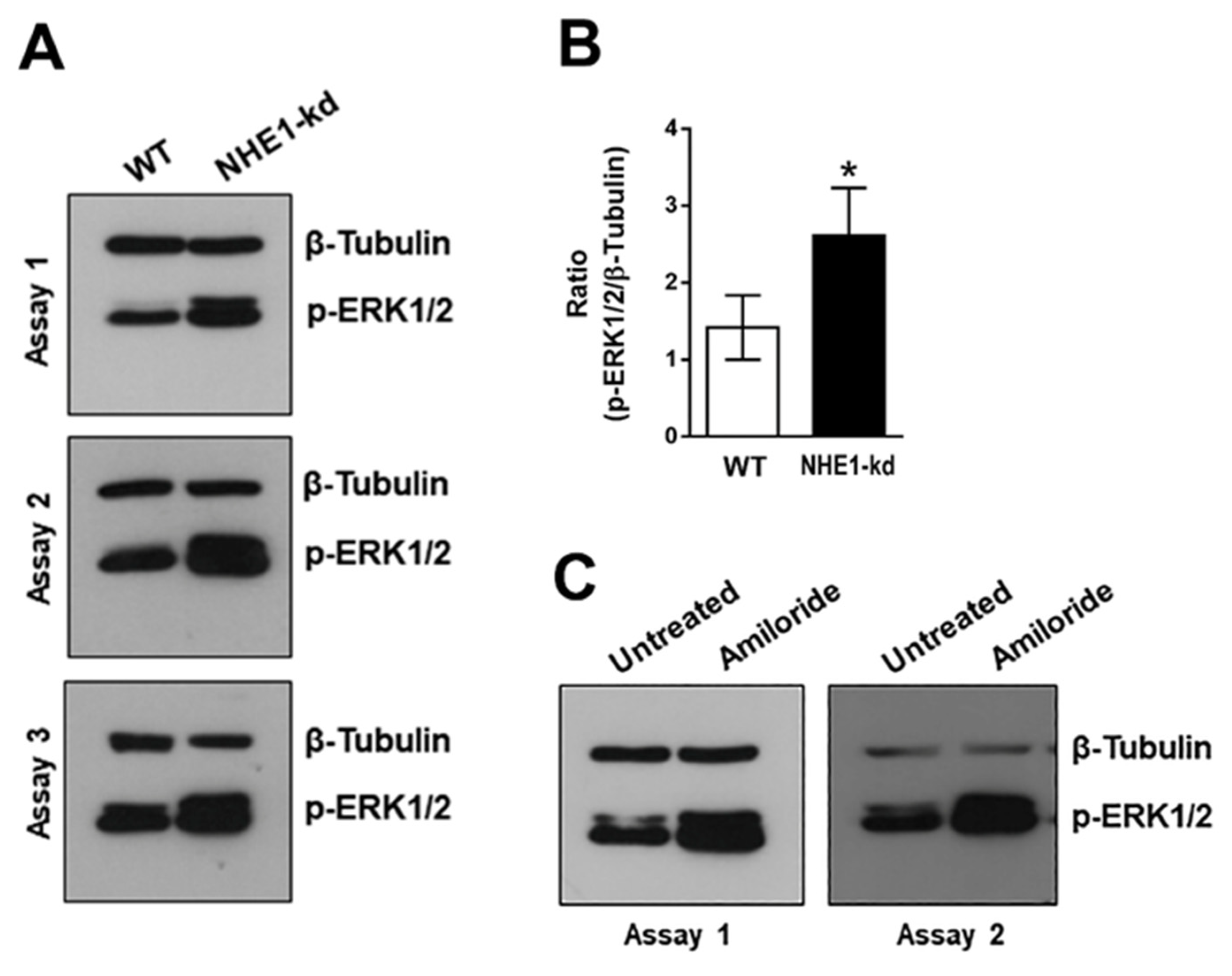 Pathogens 11 01294 g006