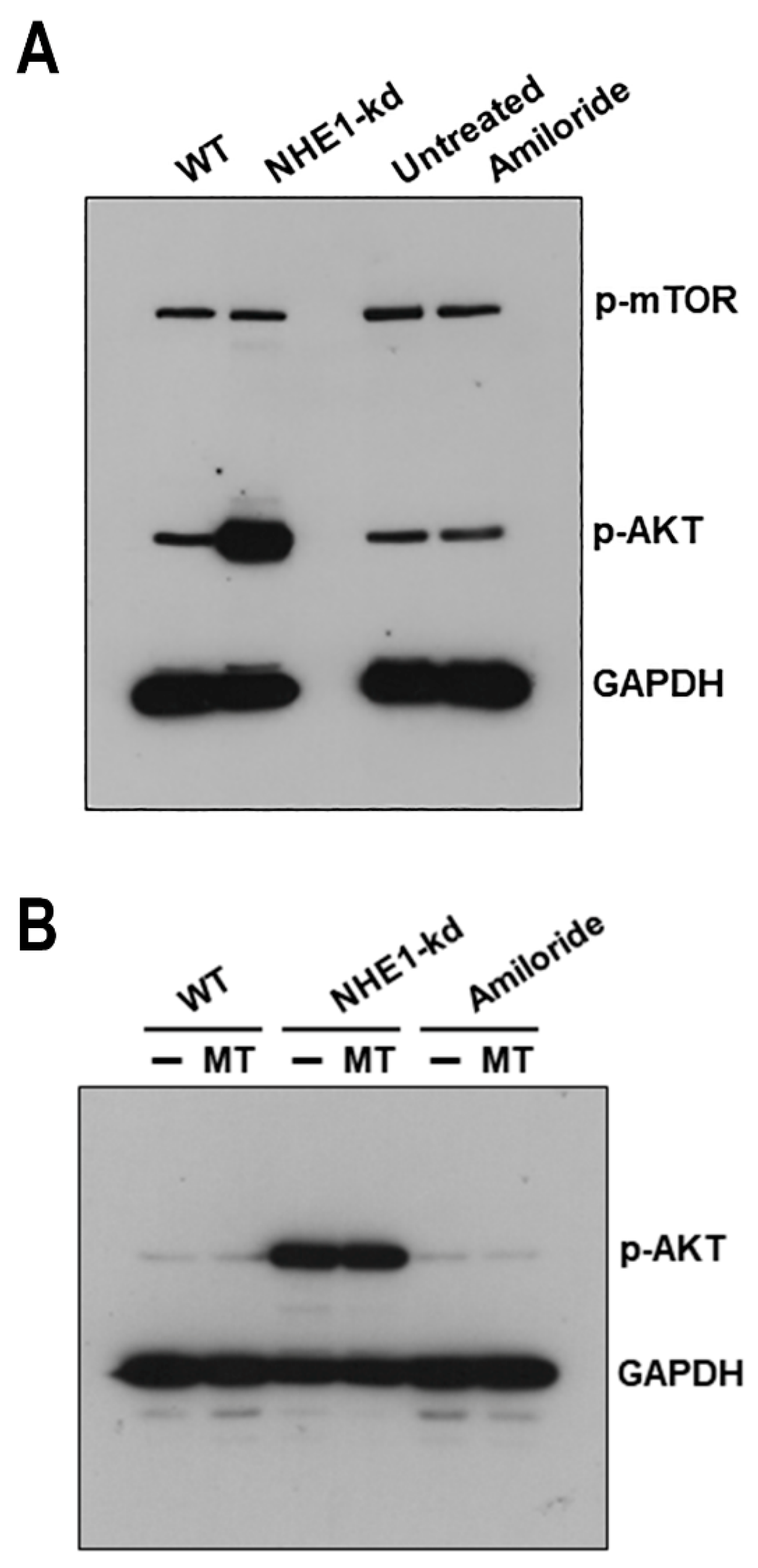 Pathogens 11 01294 g007