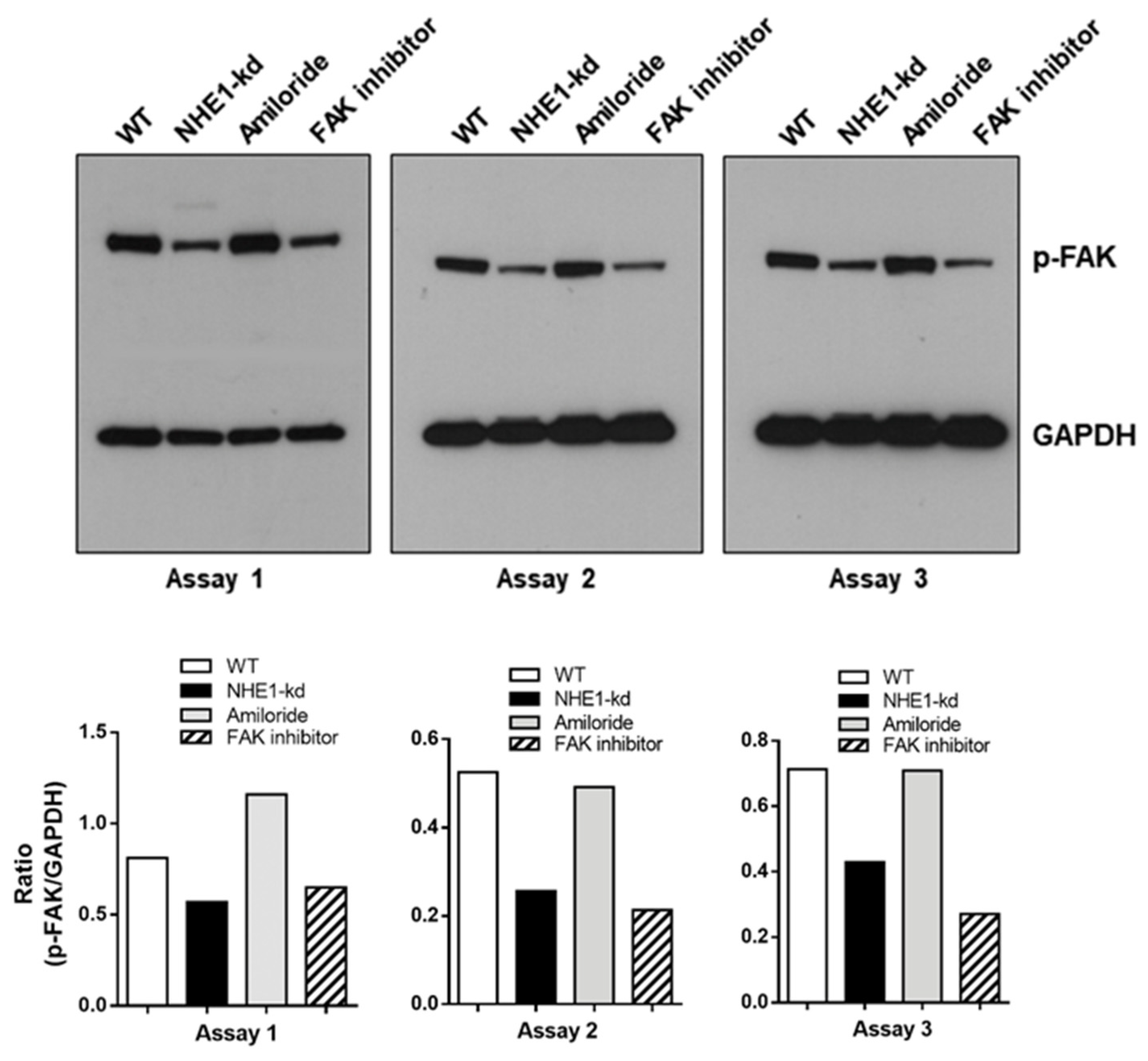 Pathogens 11 01294 g008