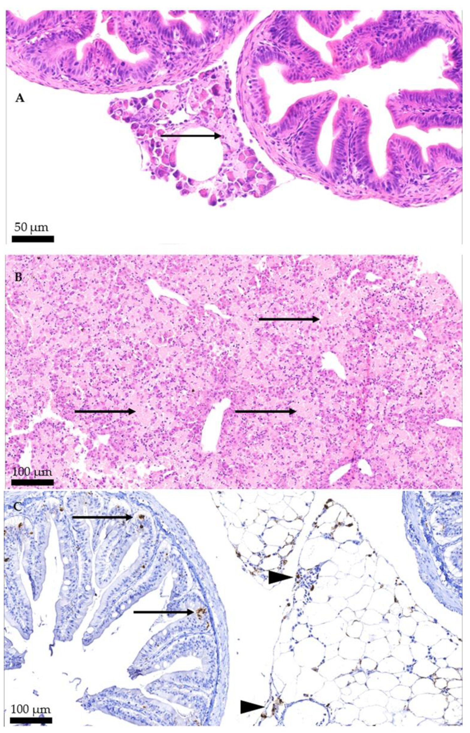 Pathogens 11 01368 g003