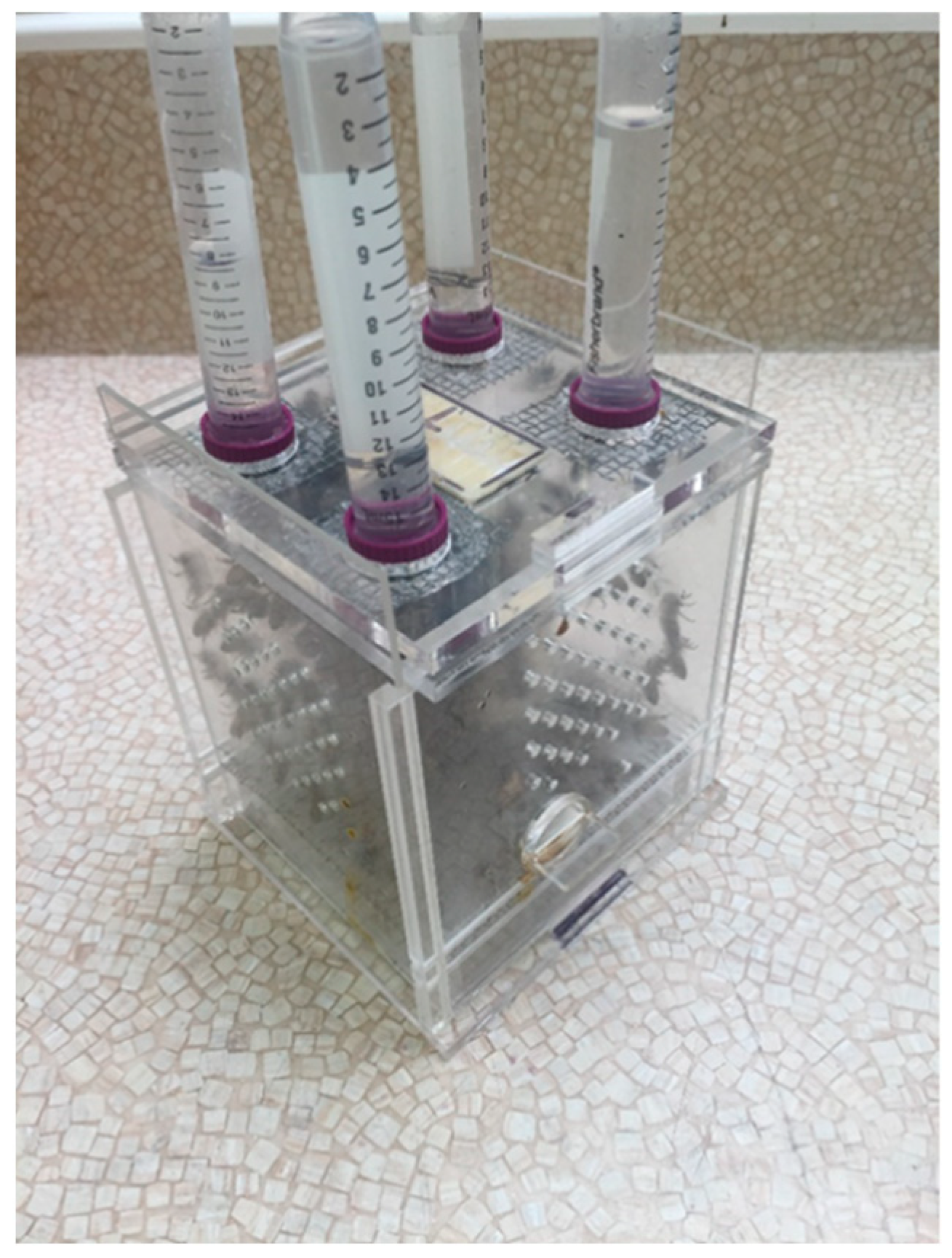 https://www.mdpi.com/pathogens/pathogens-11-01375/article_deploy/html/images/pathogens-11-01375-g007.png