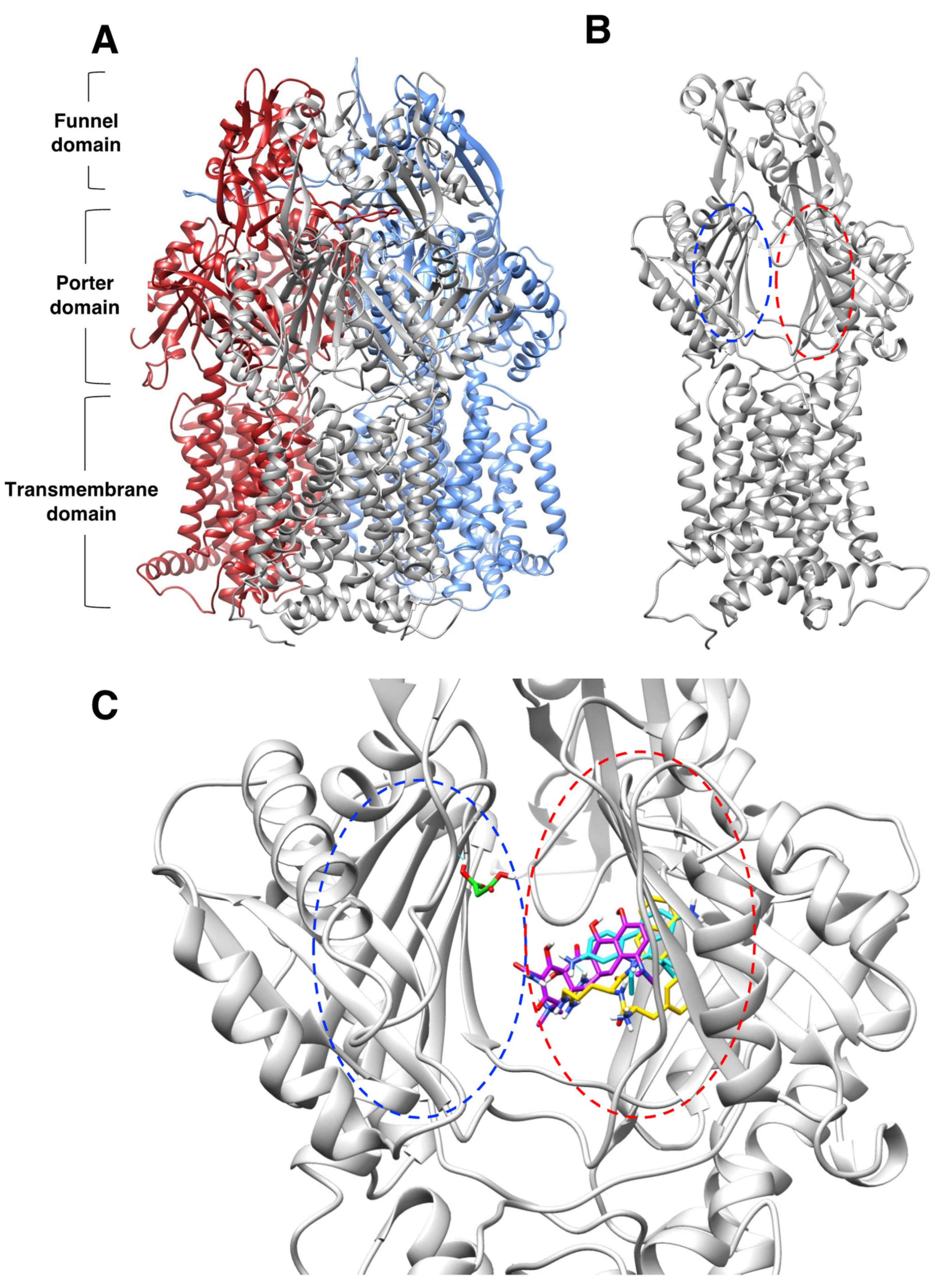 Pathogens 11 01409 g004 Pathogens 11 01409 g004