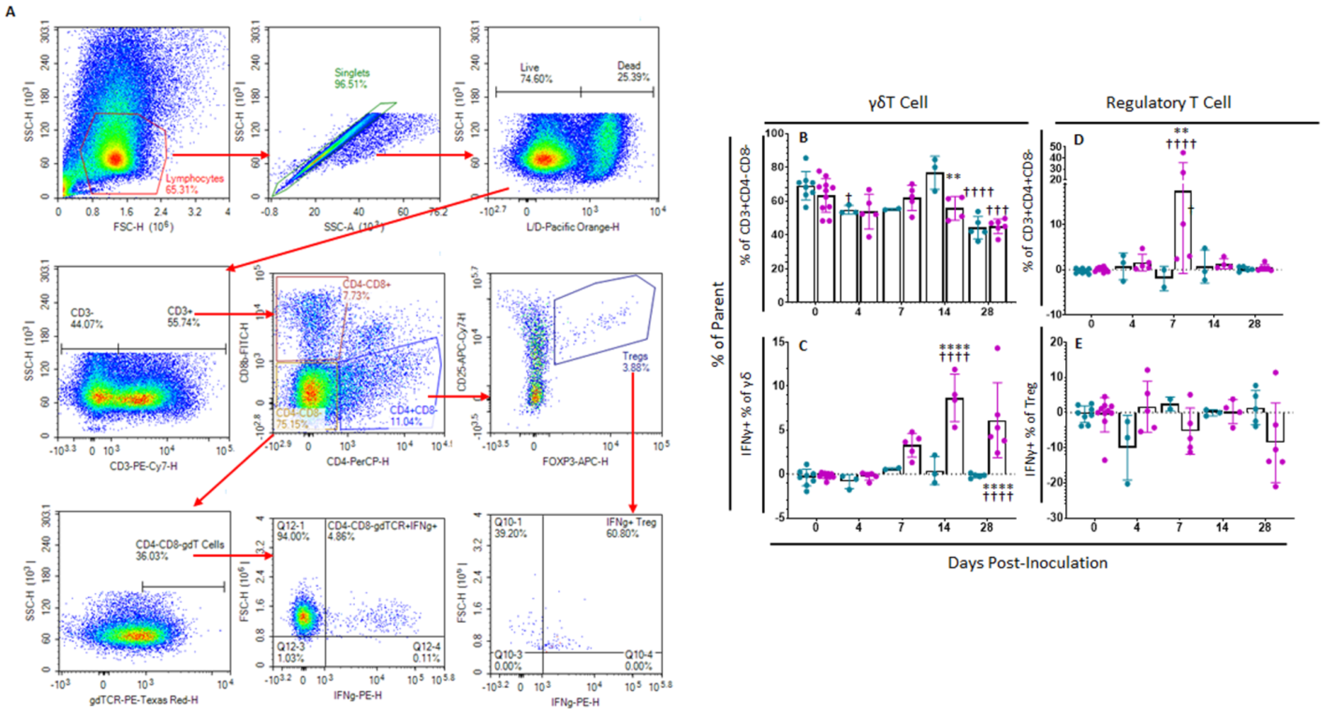 Pathogens 11 01438 g005