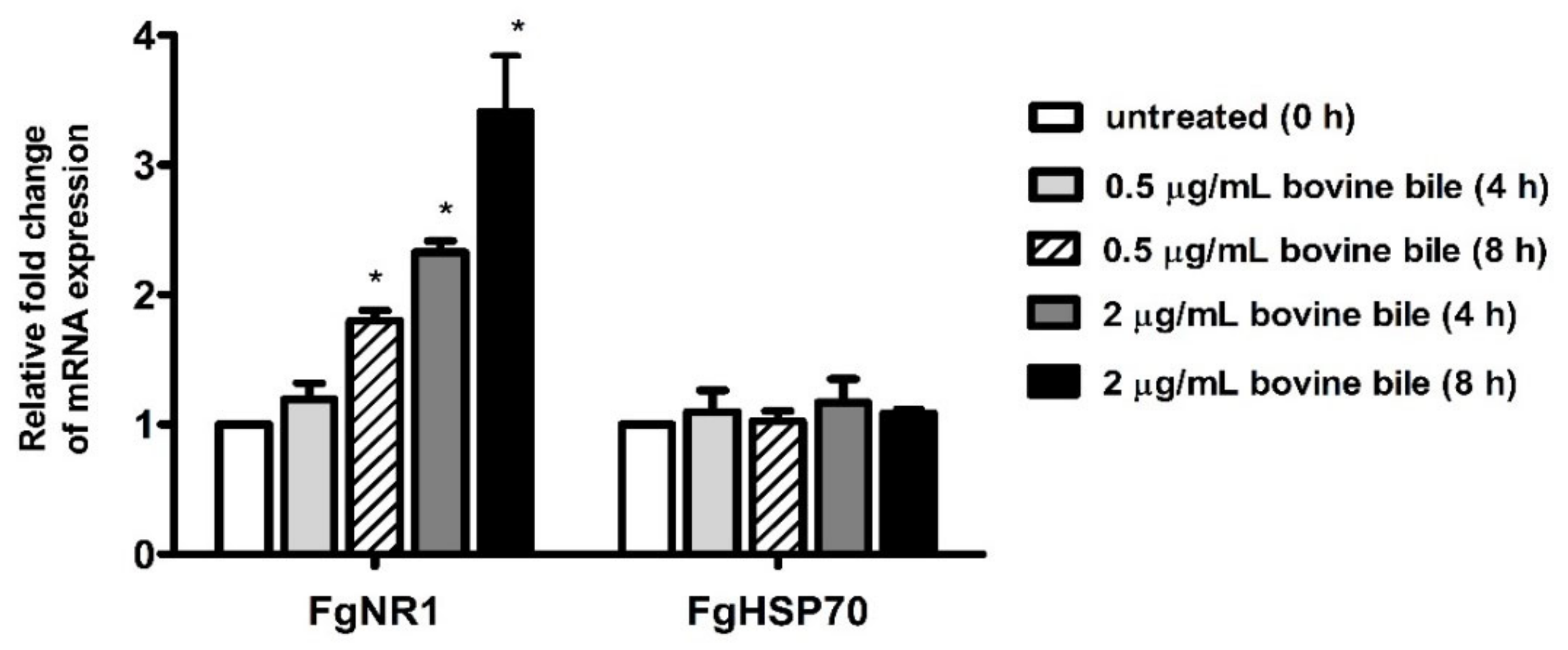 Pathogens 11 01458 g008 Pathogens 11 01458 g008