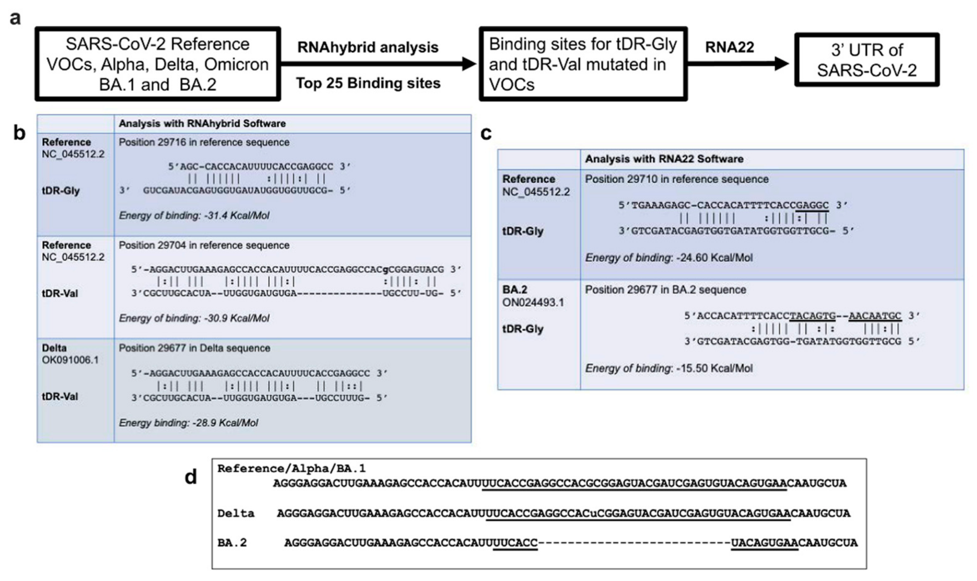 Pathogens 11 01479 g002