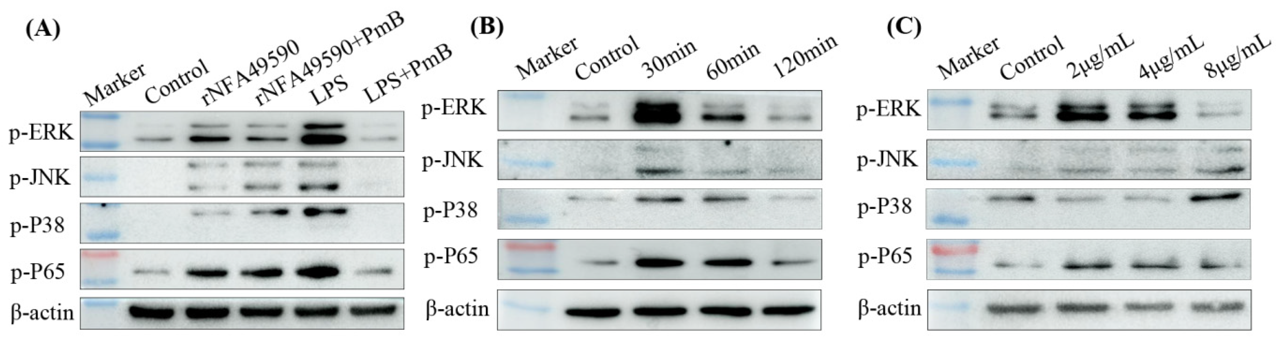 Pathogens 11 01488 g003
