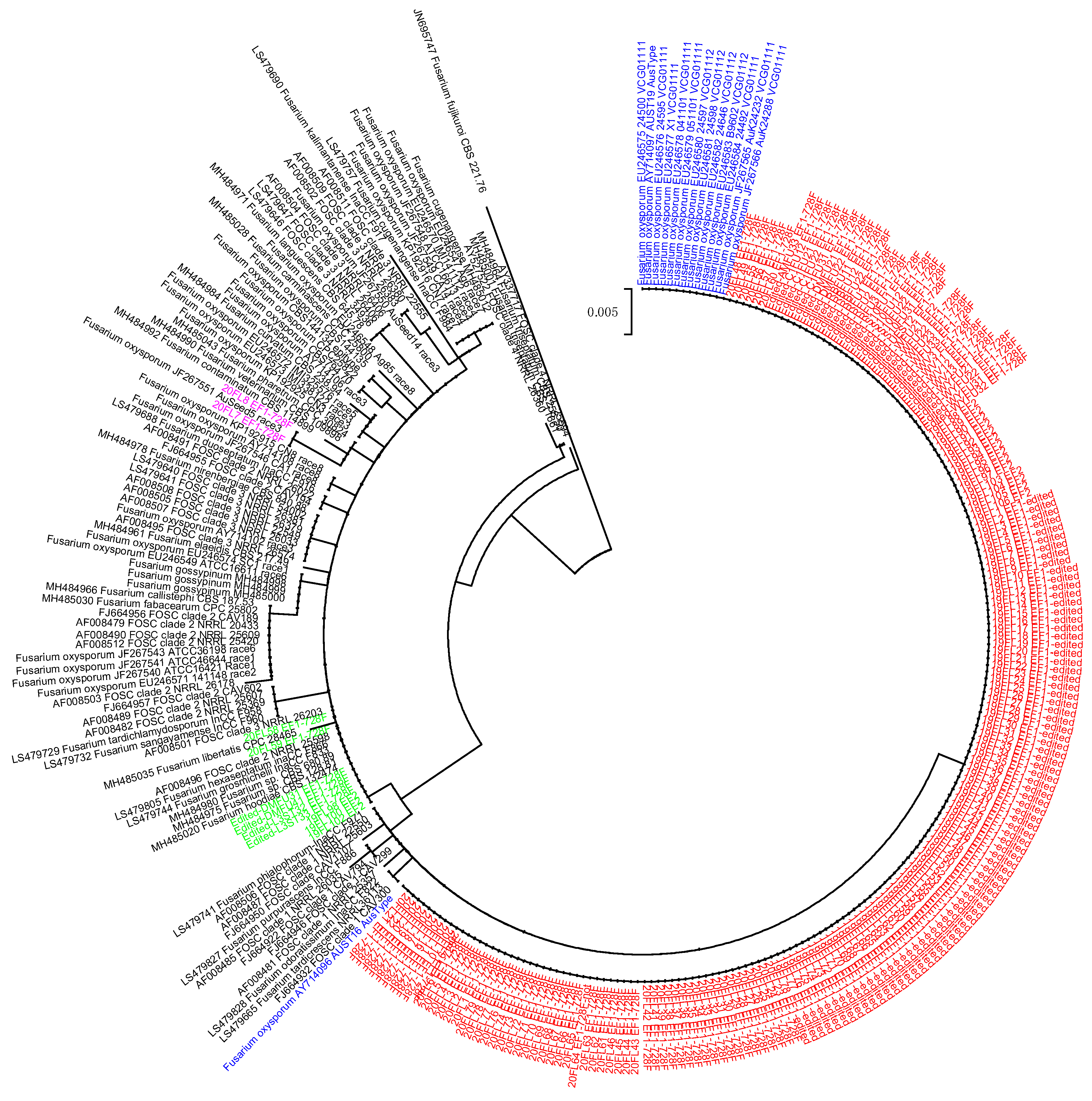 Pathogens 11 01537 g002