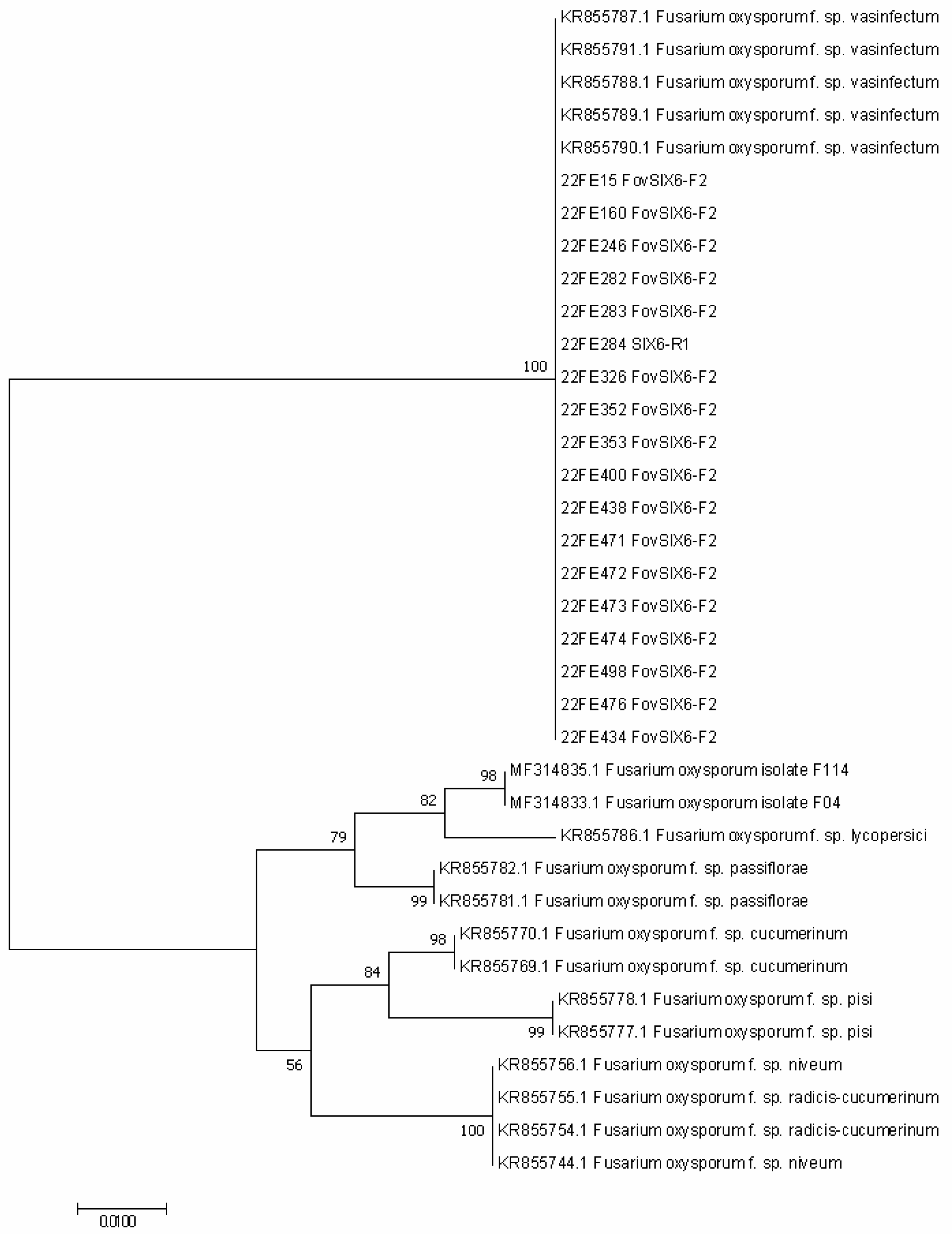 Pathogens 11 01537 g003