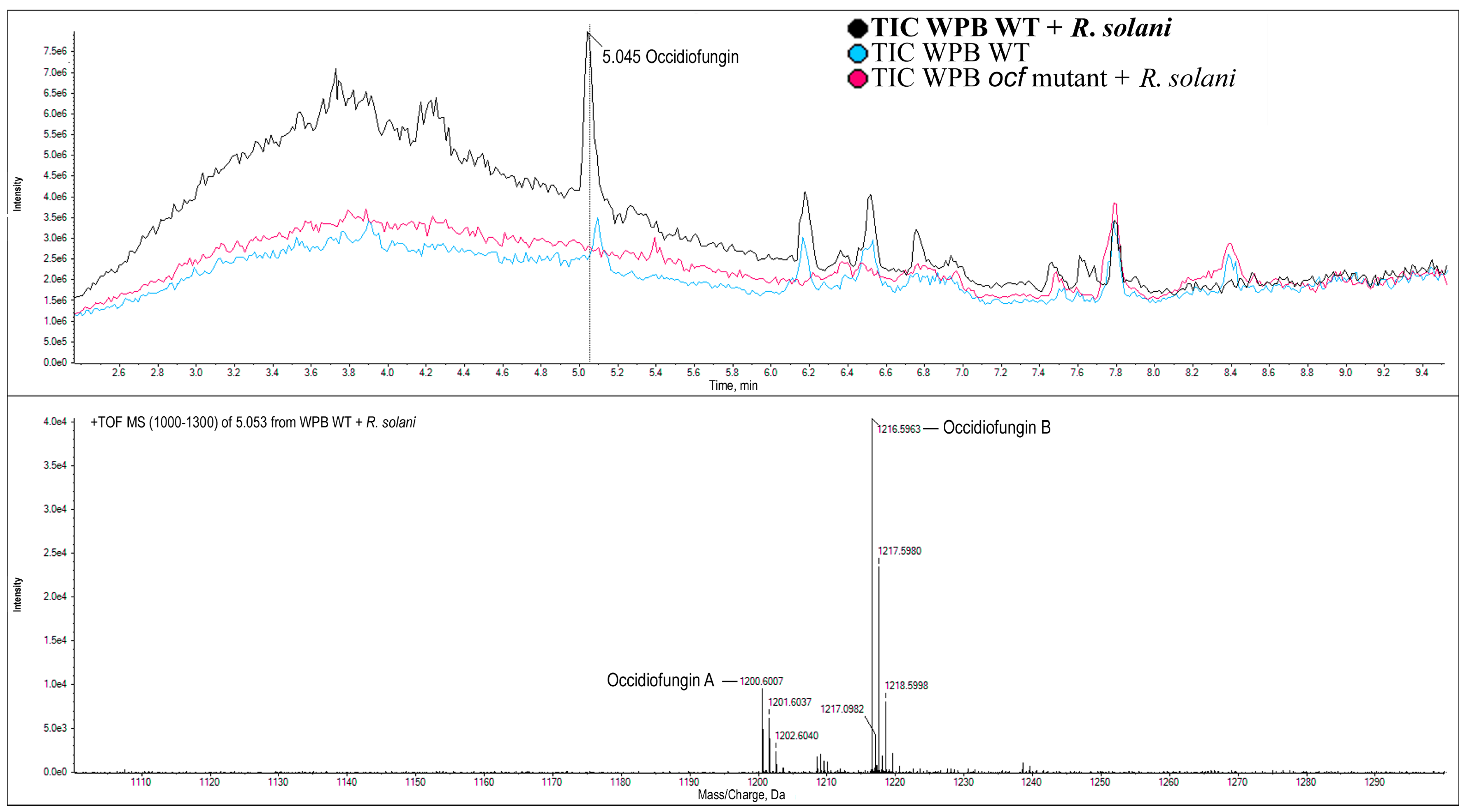Pathogens 12 00013 g005 Pathogens 12 00013 g005