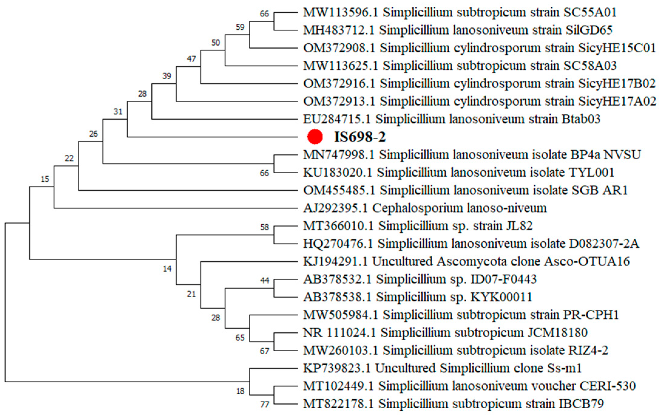 Pathogens 12 00022 g002 Pathogens 12 00022 g002