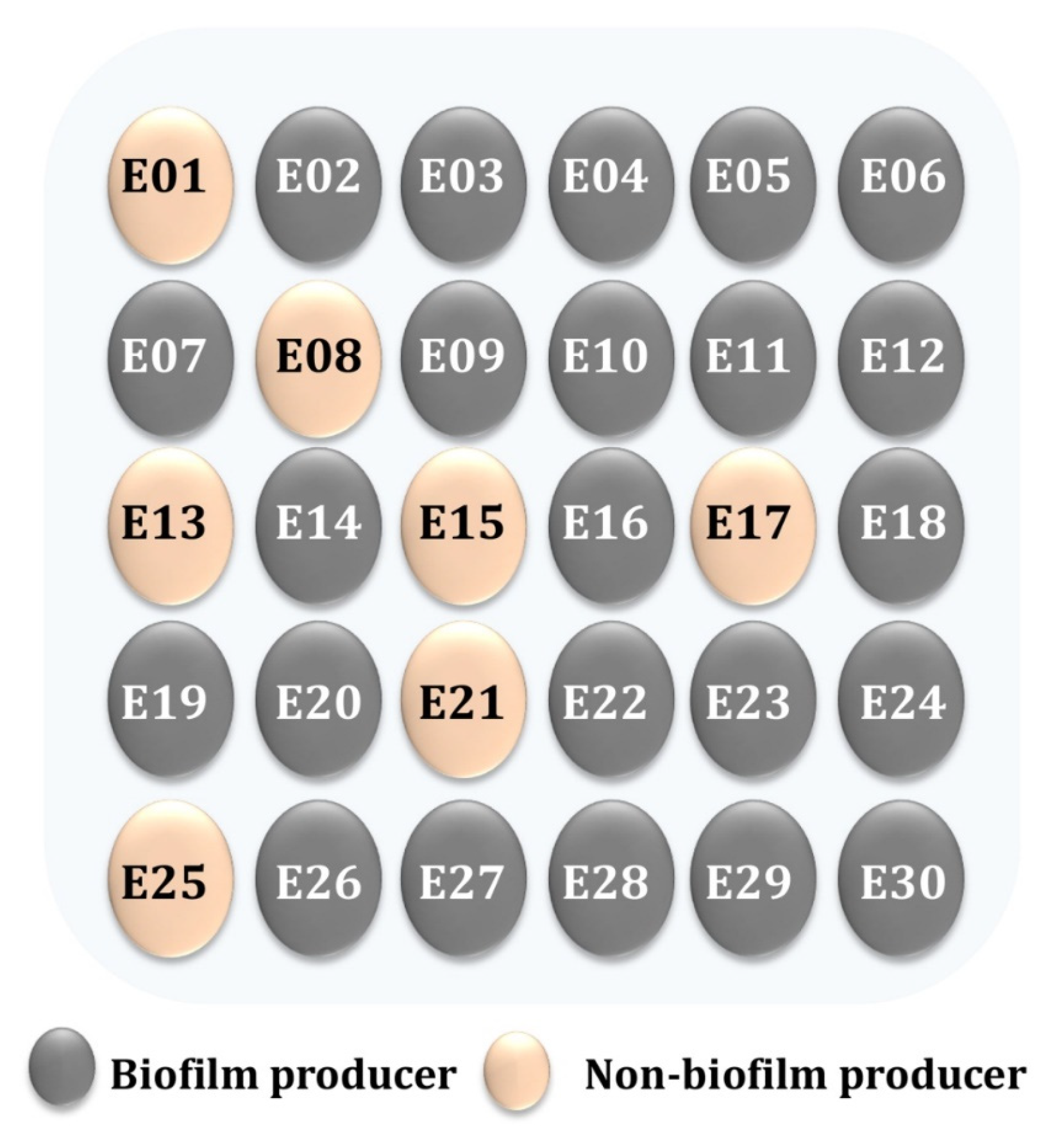 Pathogens 12 00034 g002 Pathogens 12 00034 g002