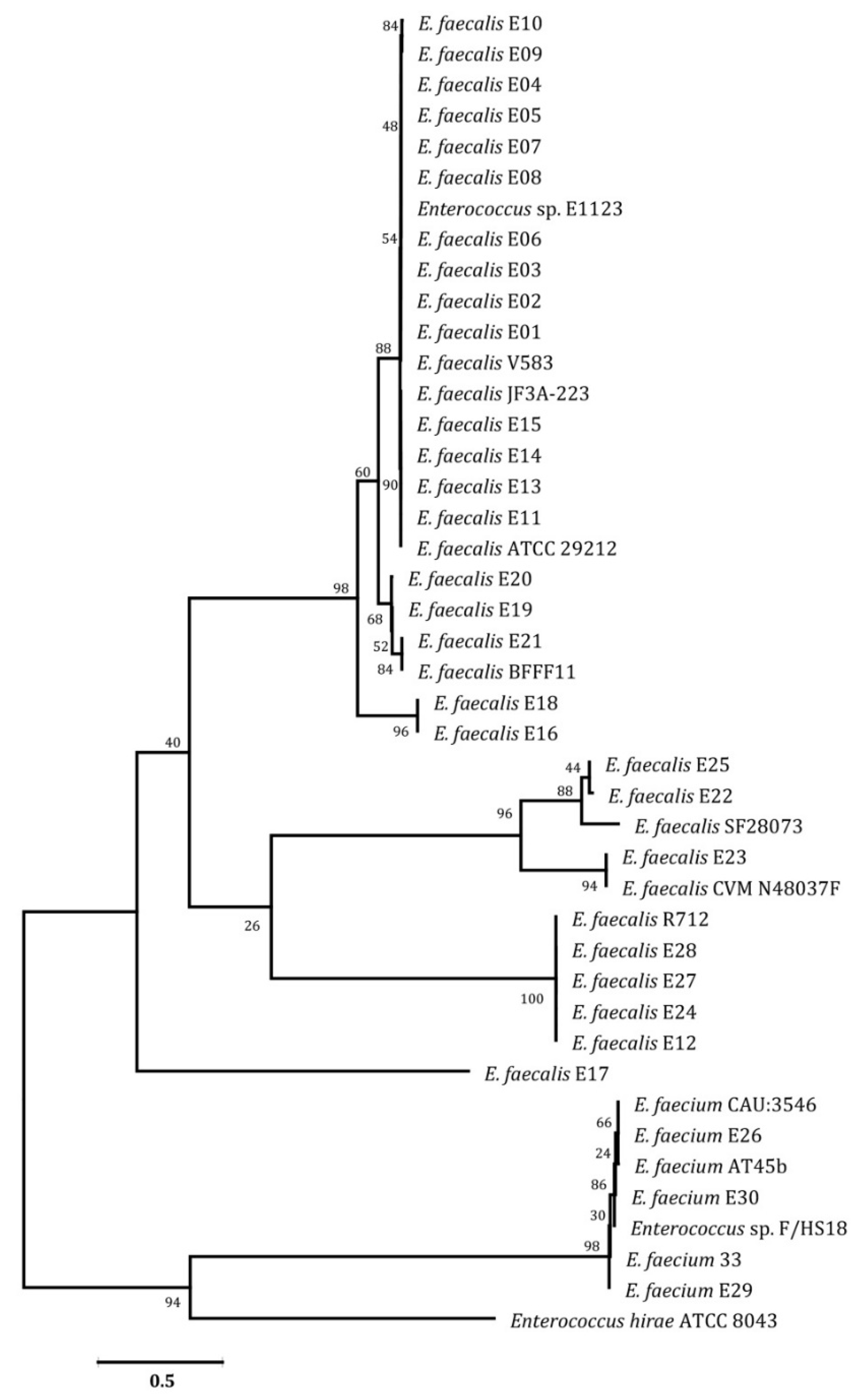 Pathogens 12 00034 g006 Pathogens 12 00034 g006