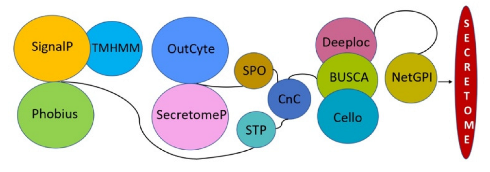 Pathogens 12 00066 g002