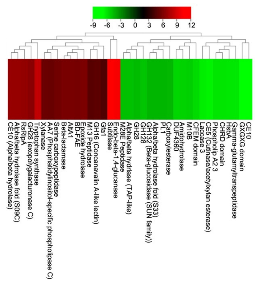 Pathogens 12 00066 g005